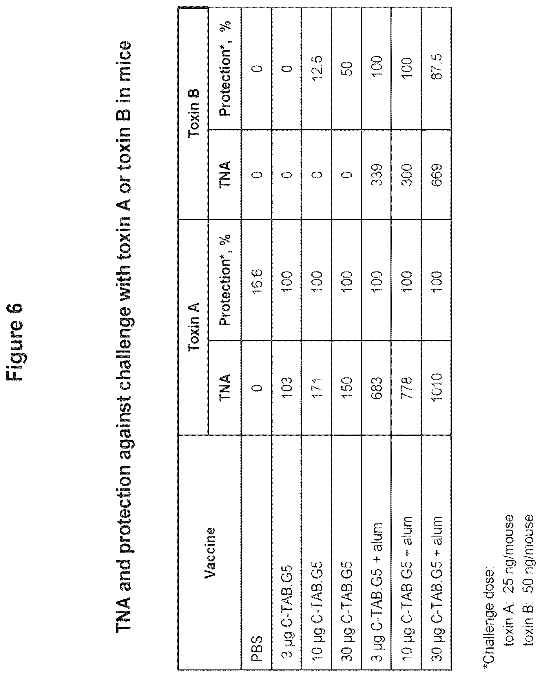 Patent US12324831 Figure 8 – Isolated polypeptide of the toxin A and toxin B proteins of C. difficile and uses thereof