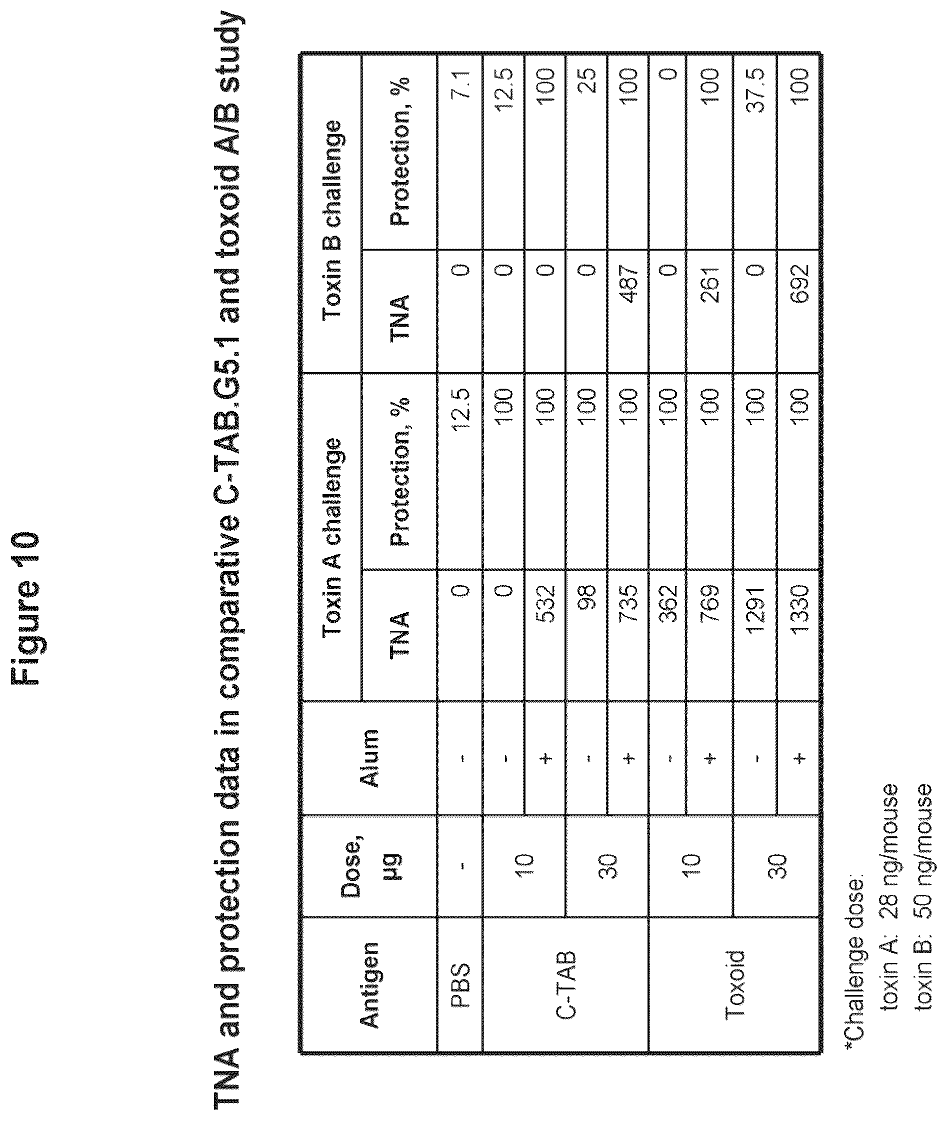 Patent US12324831 Figure 12 – Isolated polypeptide of the toxin A and toxin B proteins of C. difficile and uses thereof