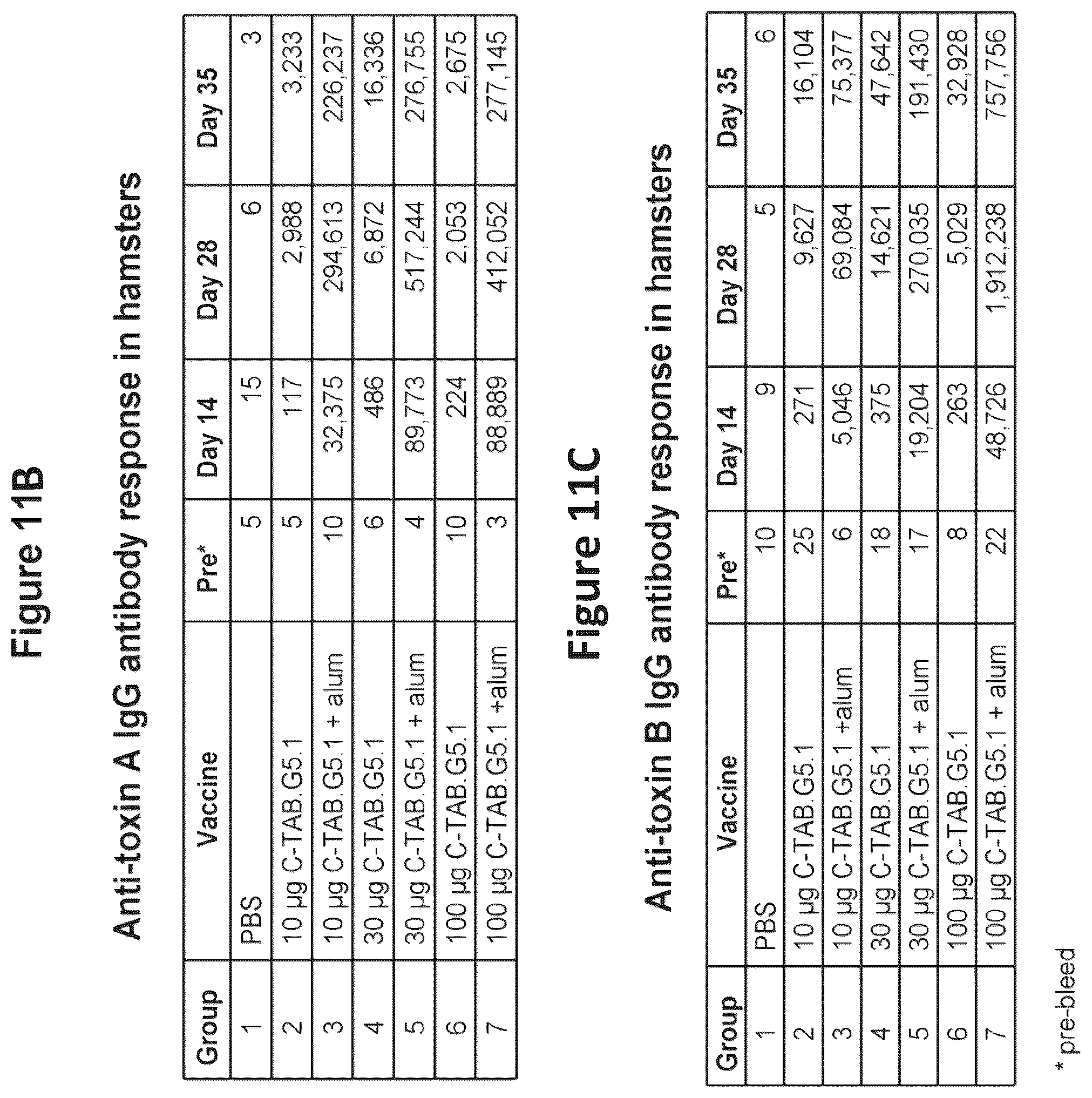 Patent US12324831 Figure 14 – Isolated polypeptide of the toxin A and toxin B proteins of C. difficile and uses thereof