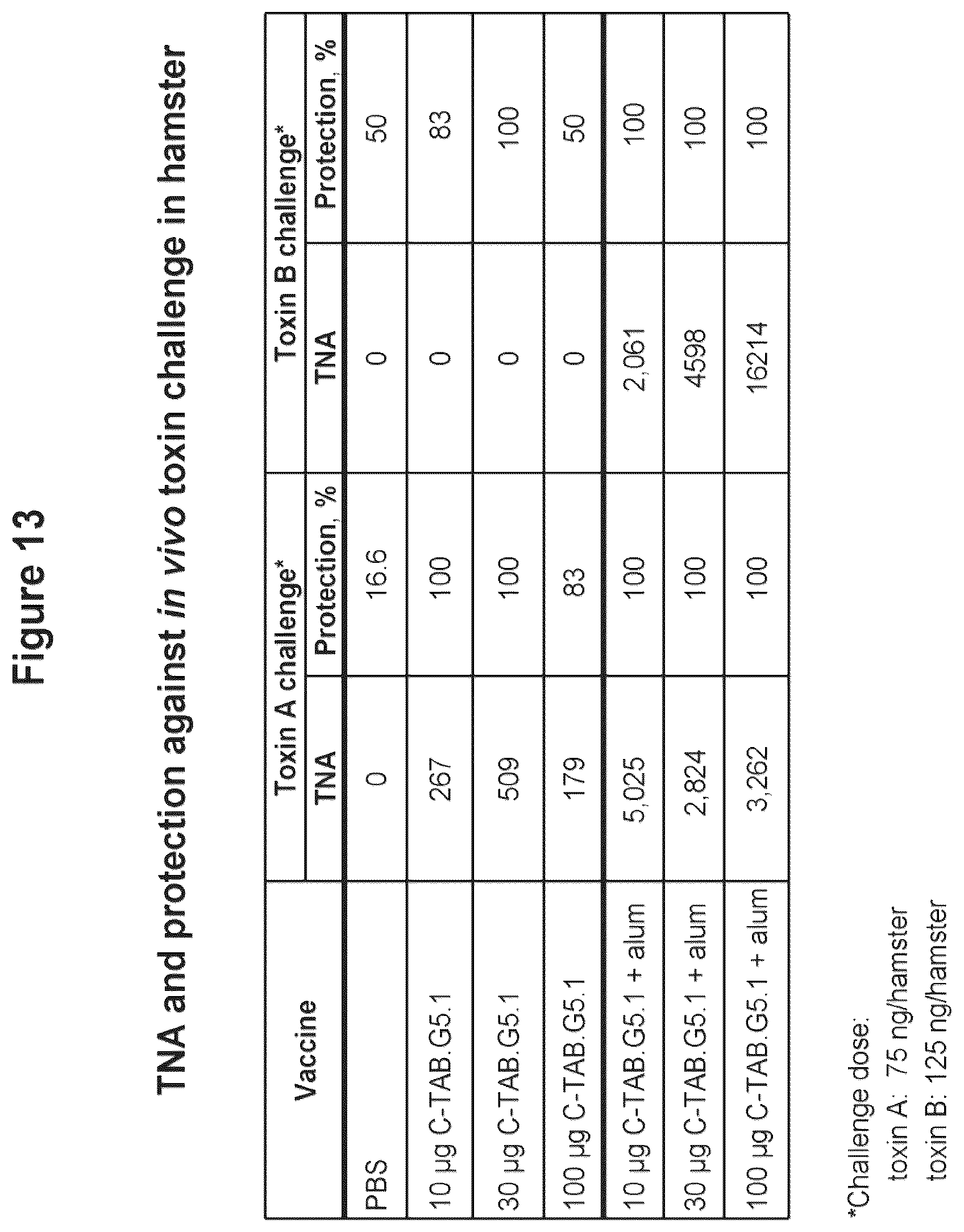 Patent US12324831 Figure 16 – Isolated polypeptide of the toxin A and toxin B proteins of C. difficile and uses thereof