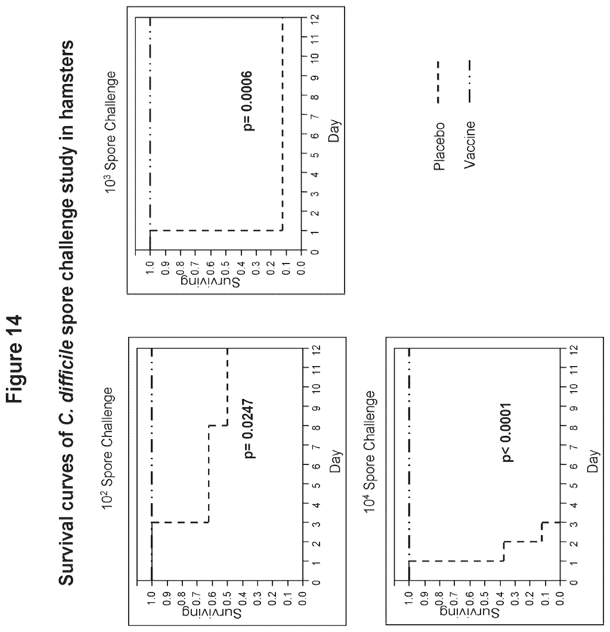 Patent US12324831 Figure 17 – Isolated polypeptide of the toxin A and toxin B proteins of C. difficile and uses thereof