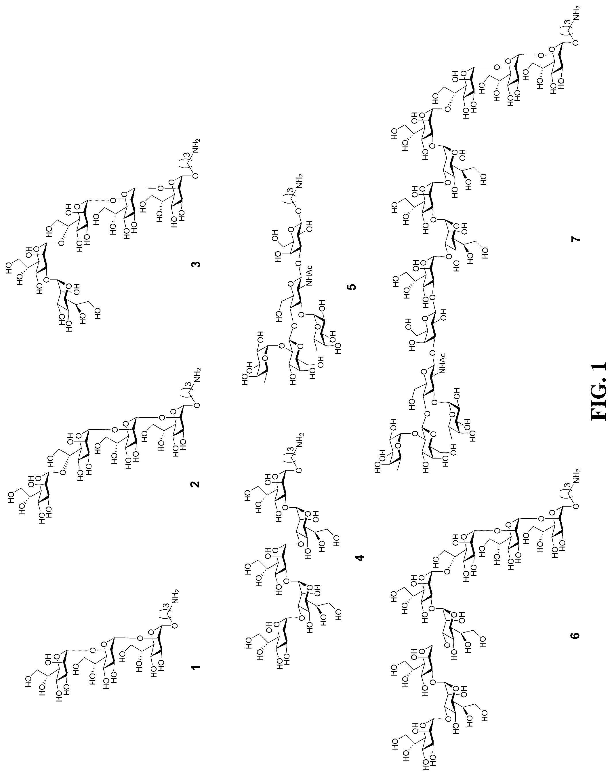 Patent US12324832 — Application of heptoglycan-chain-containing oligosaccharide compounds in preparation of vaccine against Helicobacter pylori — Figure 1