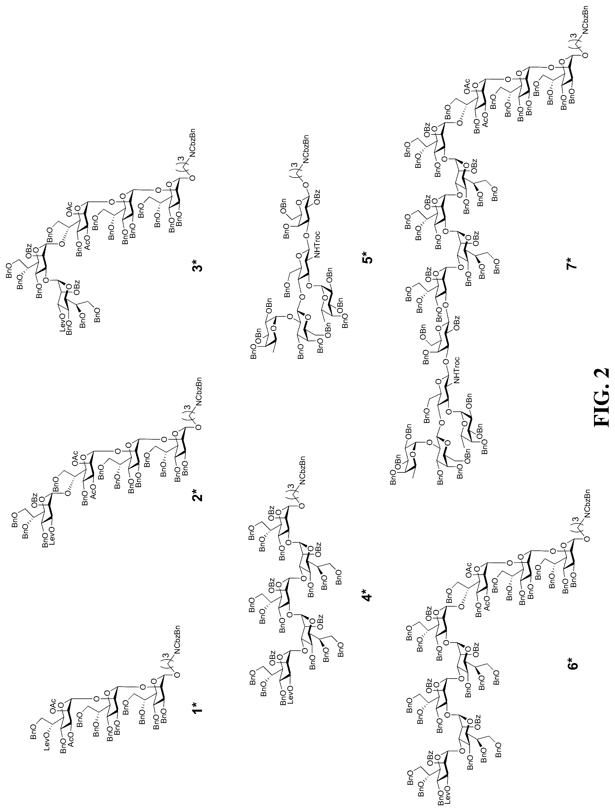 Patent US12324832 Figure 2 – Application of heptoglycan-chain-containing oligosaccharide compounds in preparation of vaccine against Helicobacter pylori