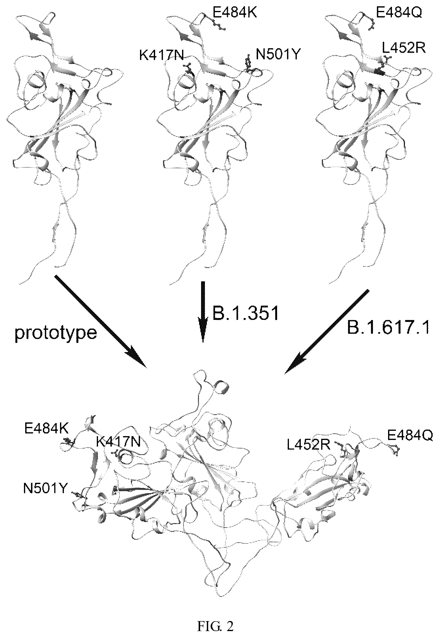 Patent US12324833 Figure 2 – Recombinant severe respiratory syndrome coronavirus 2 Rbd trimer protein vaccine capable of generating broad-spectrum cross neutralization activity, and preparation method and use thereof