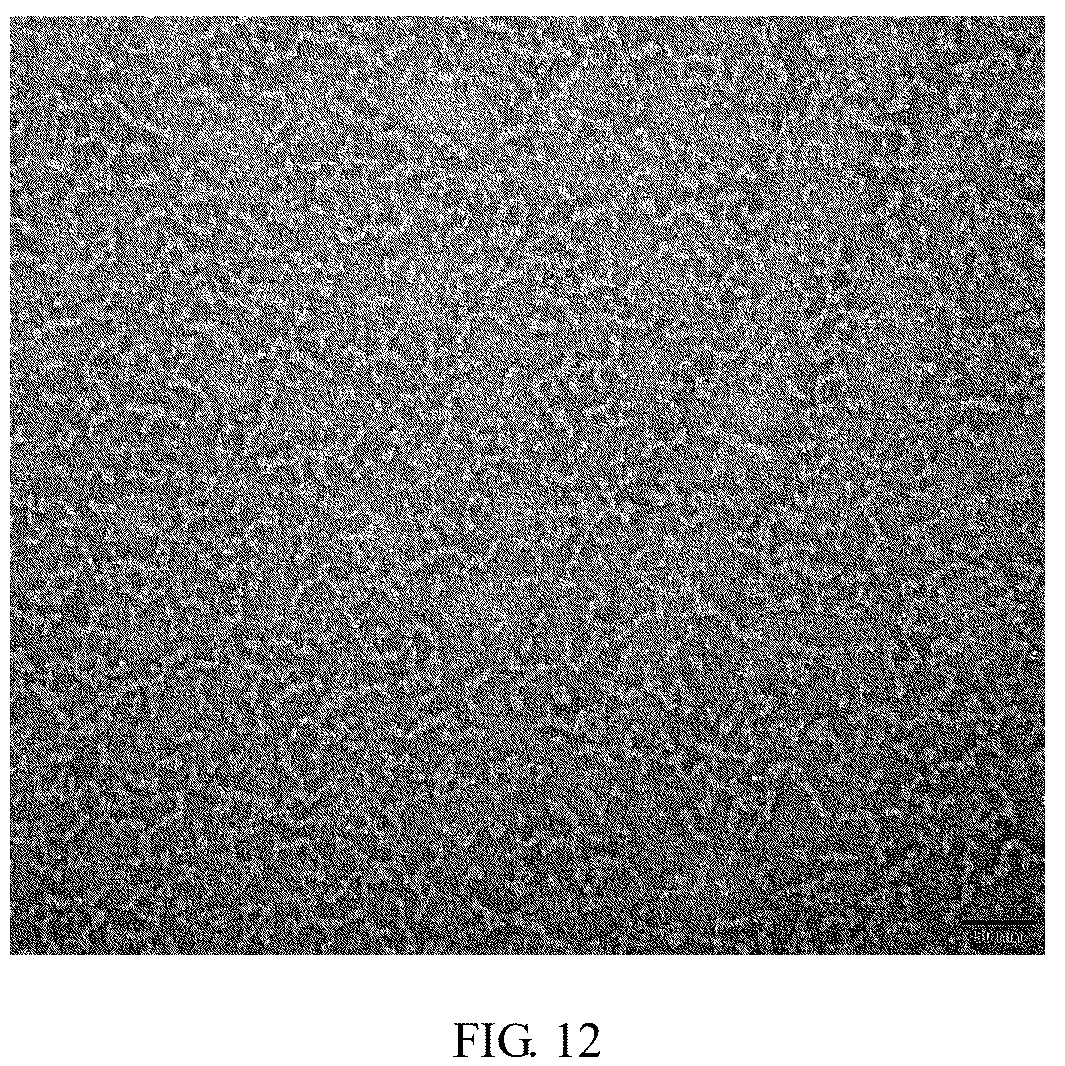 Patent US12324833 Figure 10 – Recombinant severe respiratory syndrome coronavirus 2 Rbd trimer protein vaccine capable of generating broad-spectrum cross neutralization activity, and preparation method and use thereof