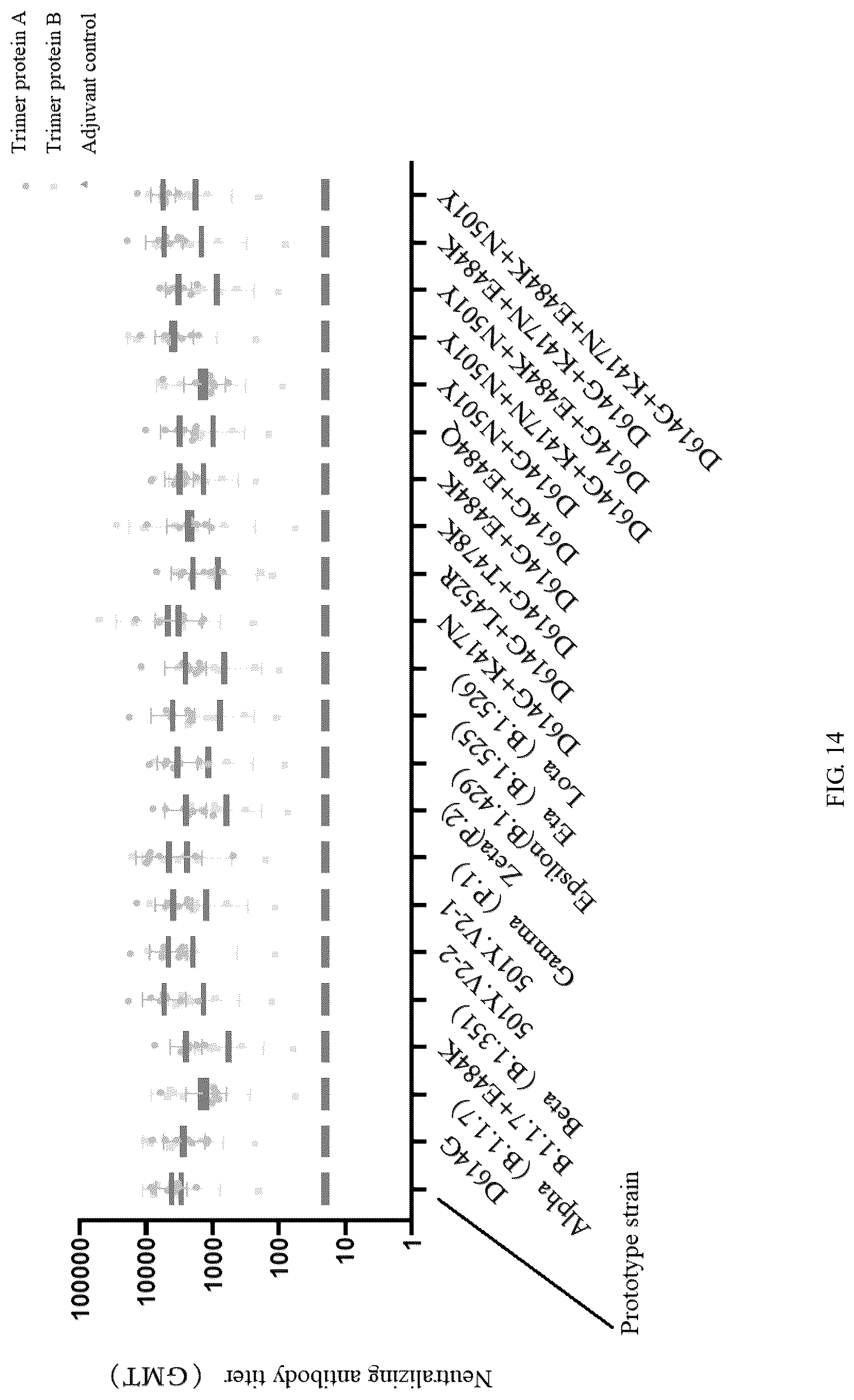 Patent US12324833 Figure 12 – Recombinant severe respiratory syndrome coronavirus 2 Rbd trimer protein vaccine capable of generating broad-spectrum cross neutralization activity, and preparation method and use thereof