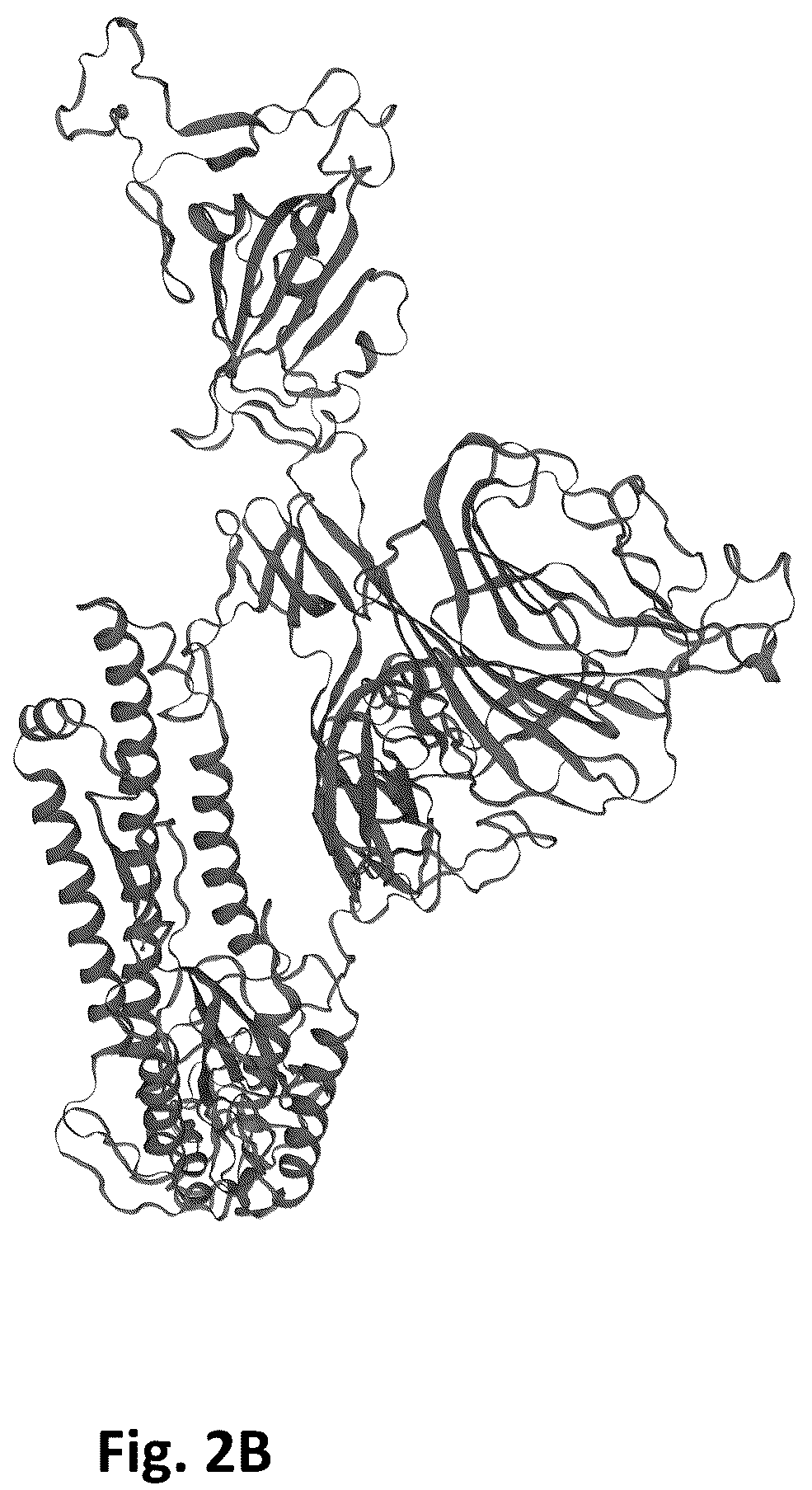 Patent US12324834 Figure 3 – Nucleic acid vaccine against the SARS-CoV-2 coronavirus