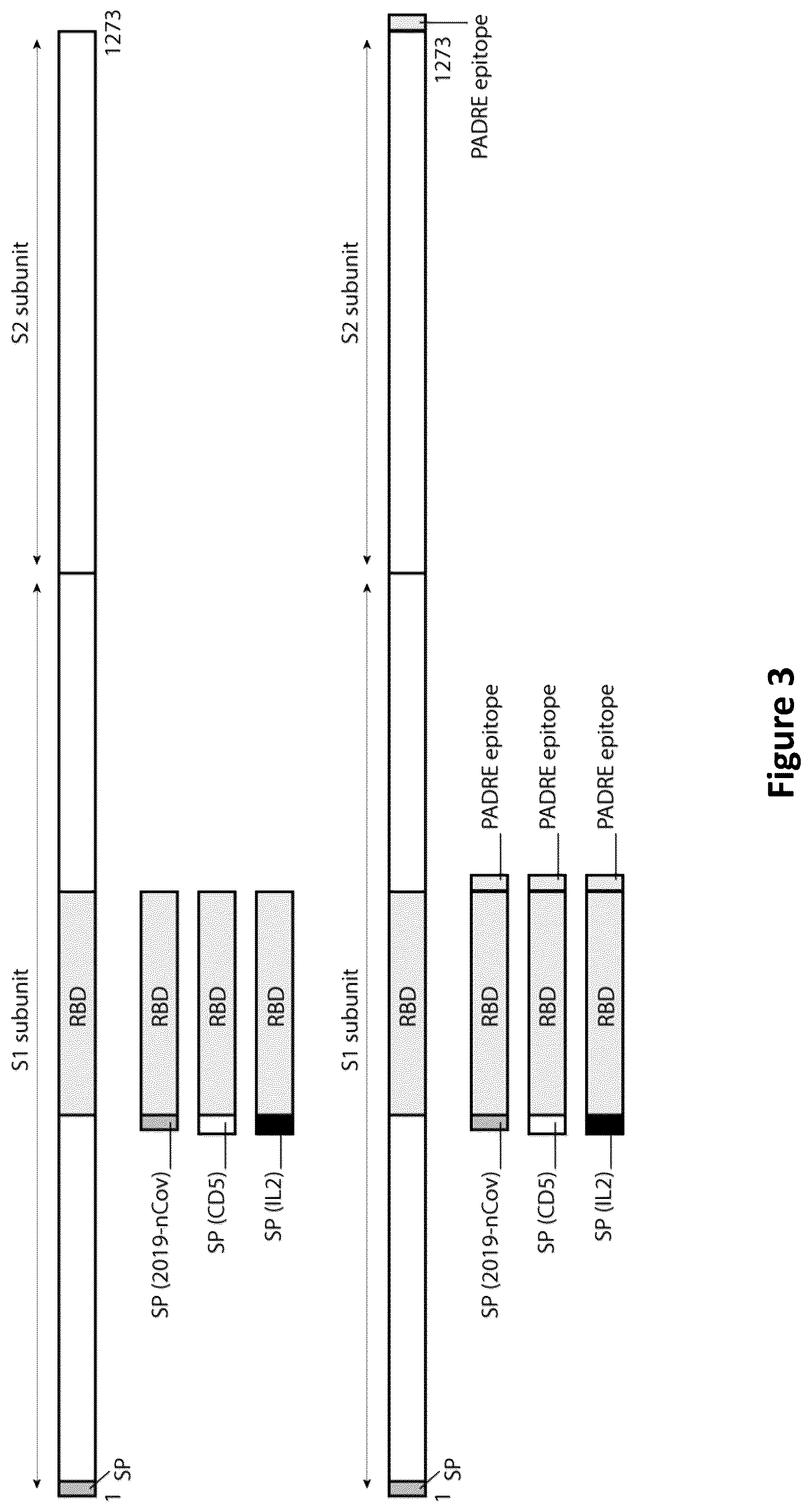 Patent US12324834 Figure 4 – Nucleic acid vaccine against the SARS-CoV-2 coronavirus