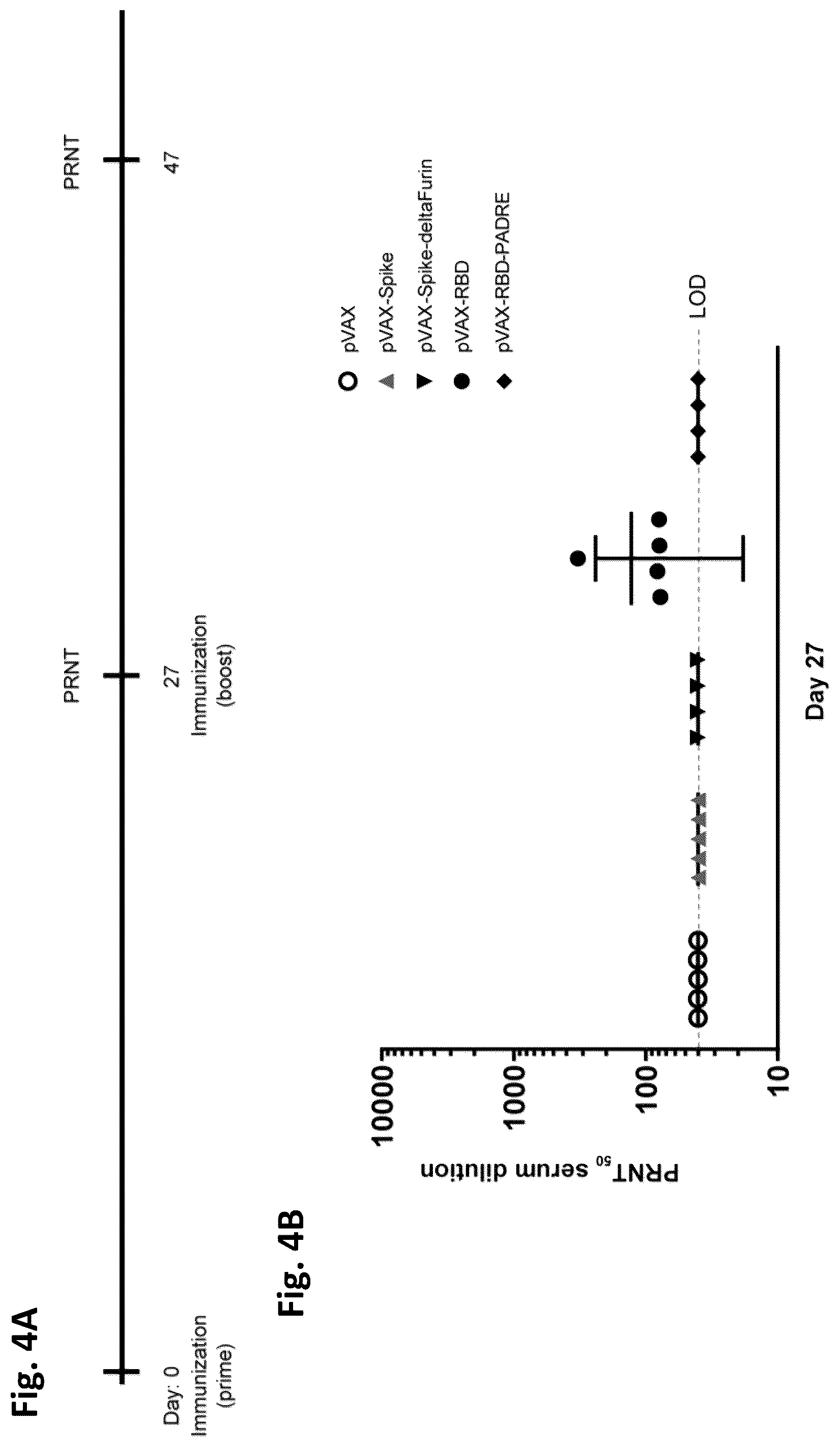Patent US12324834 Figure 5 – Nucleic acid vaccine against the SARS-CoV-2 coronavirus