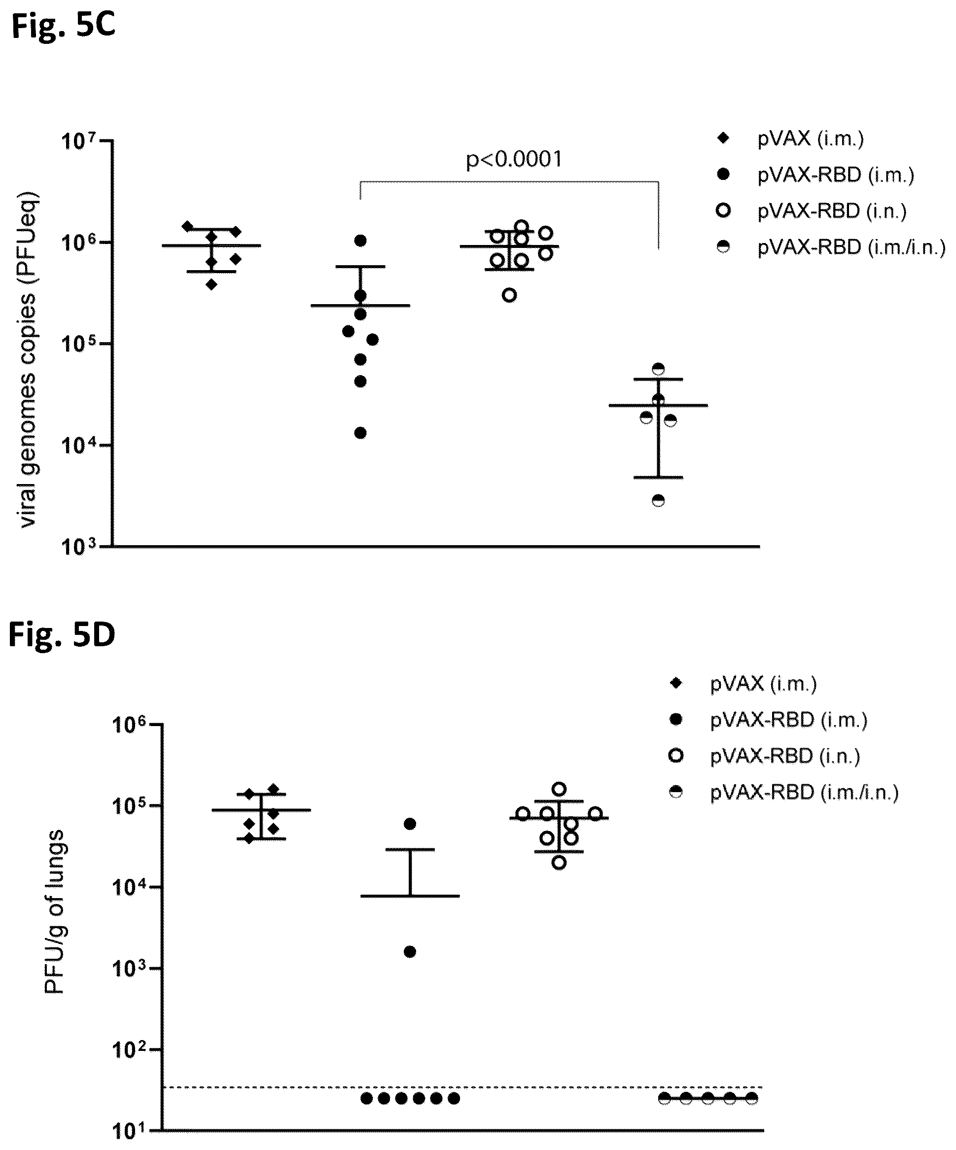 Patent US12324834 Figure 8 – Nucleic acid vaccine against the SARS-CoV-2 coronavirus