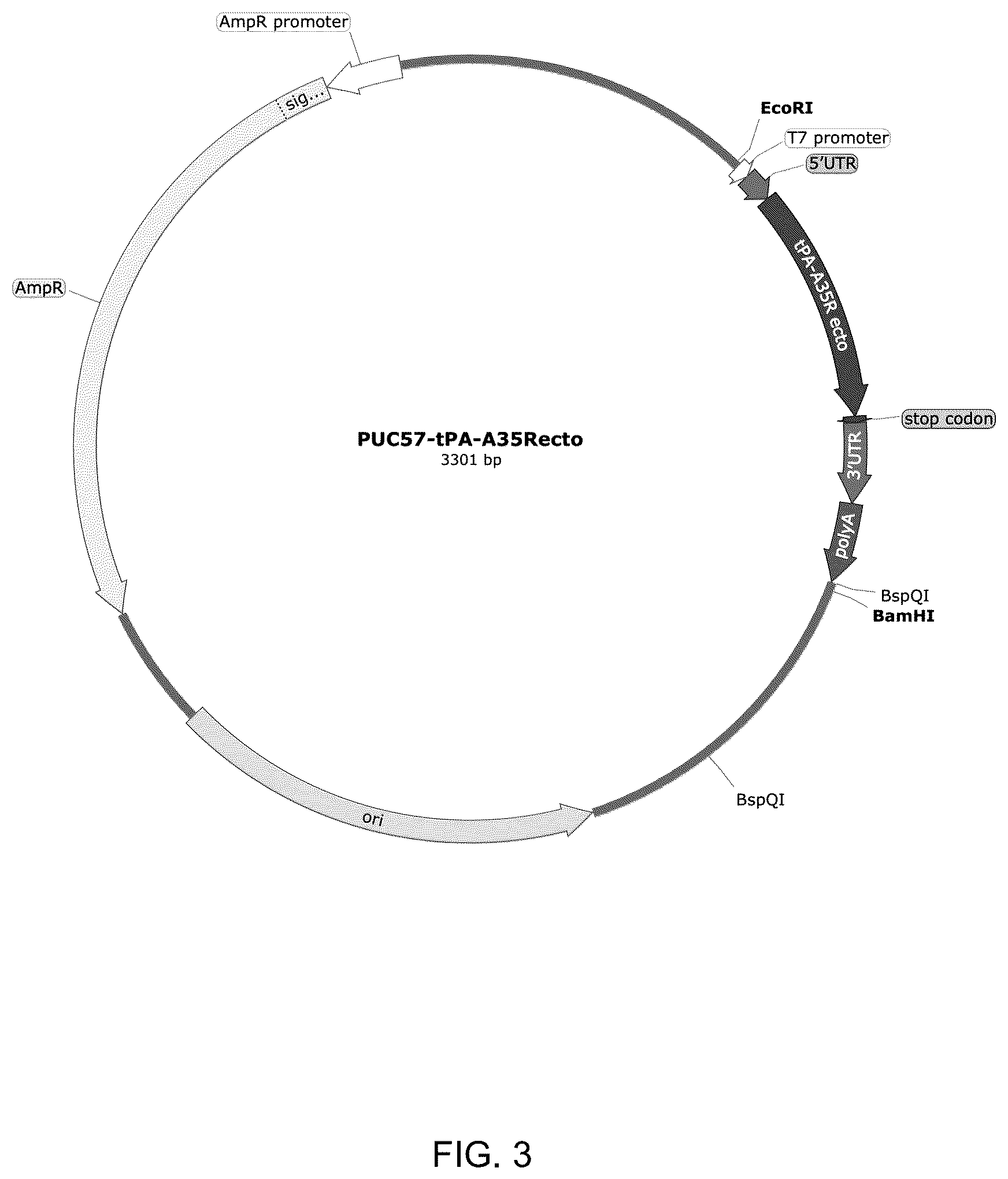 Patent US12324835 Figure 3 – mRNA vaccine encoding fusion antigen against Mpox and severe acute respiratory syndrome coronavirus 2