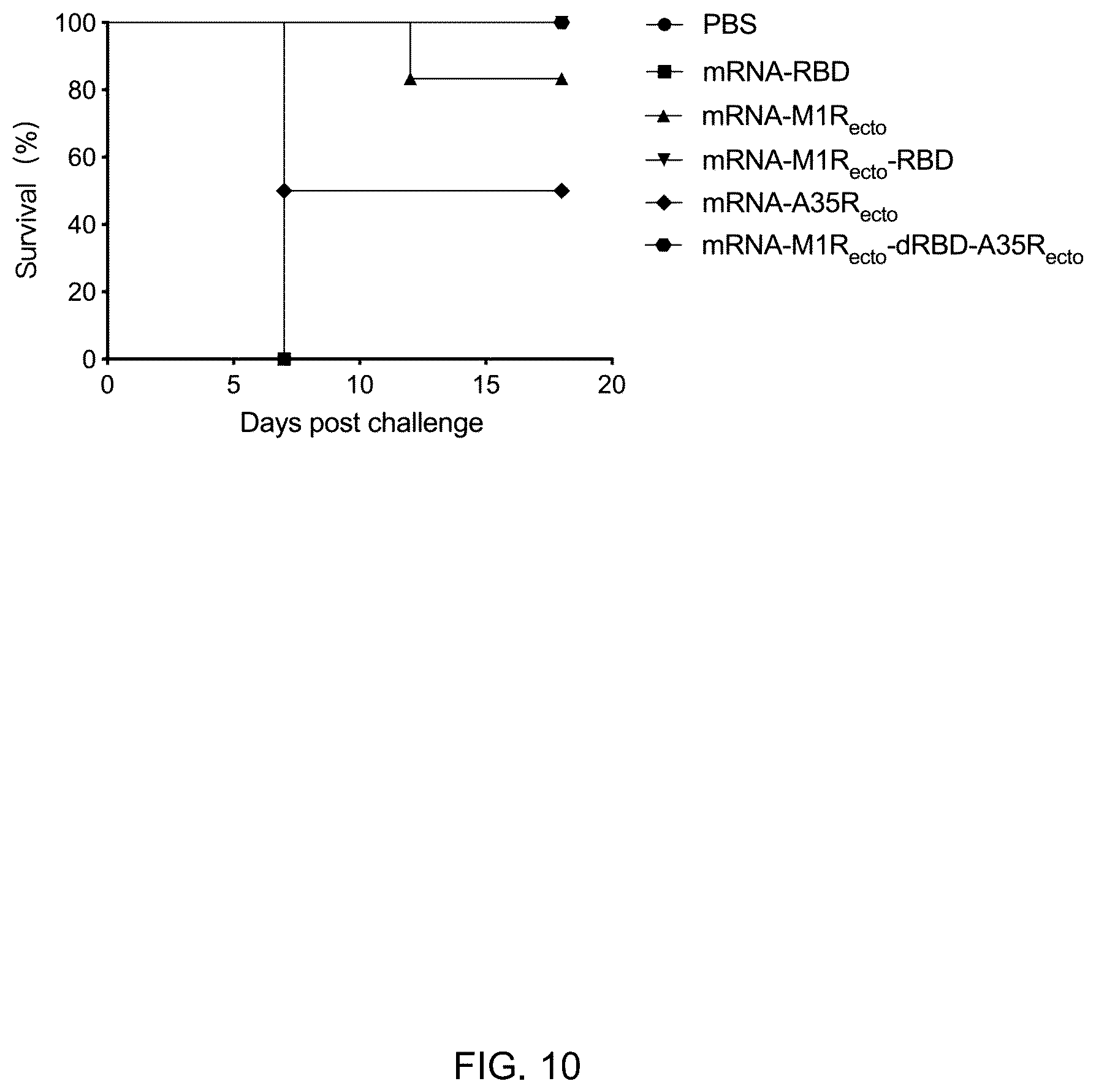 Patent US12324835 Figure 10 – mRNA vaccine encoding fusion antigen against Mpox and severe acute respiratory syndrome coronavirus 2