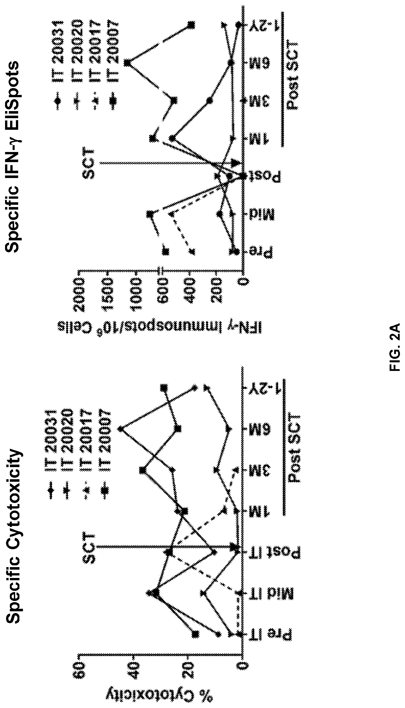 Patent US12324836 Figure 4 – Methods and compositions for vaccinating and boosting cancer patients