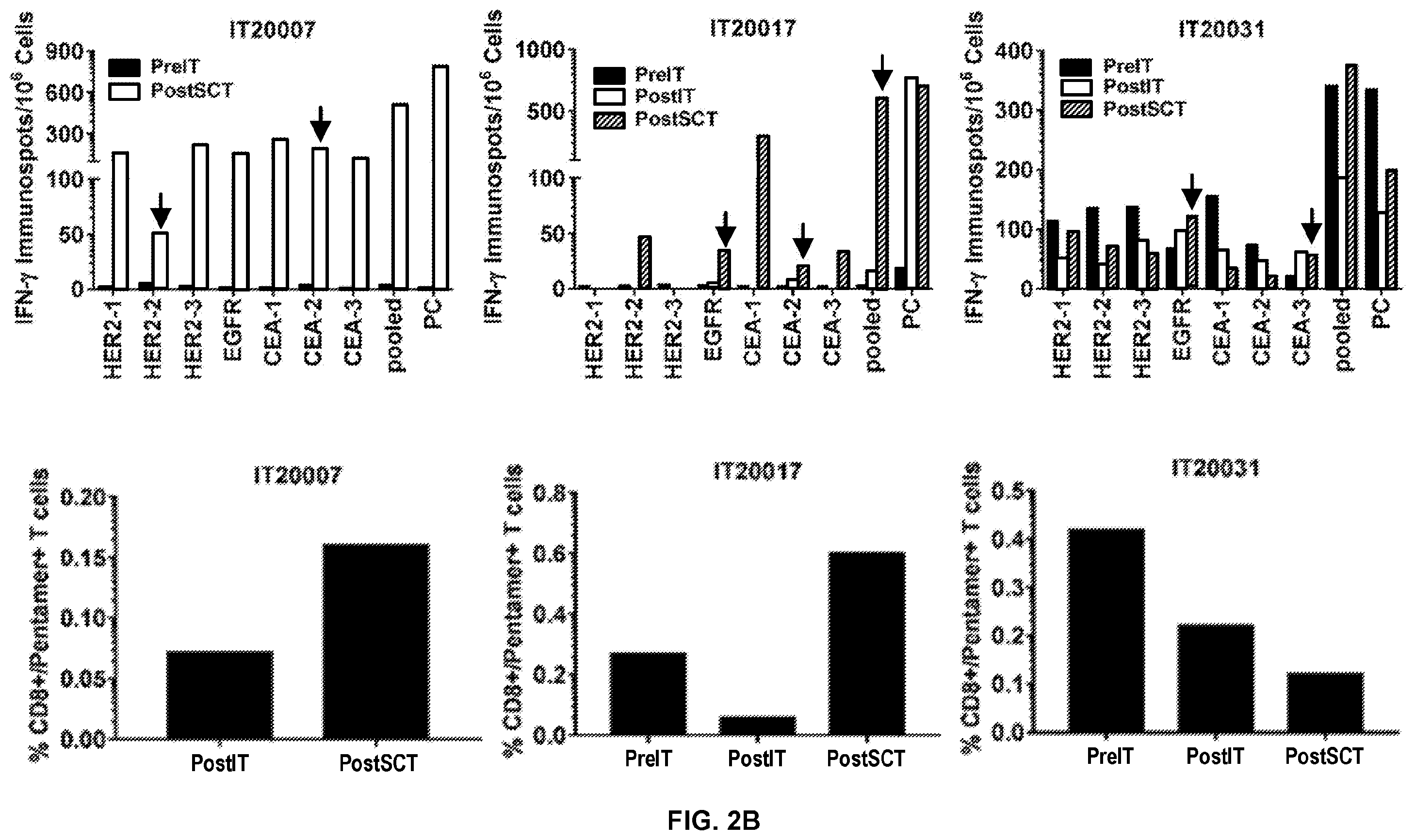 Patent US12324836 Figure 6 – Methods and compositions for vaccinating and boosting cancer patients