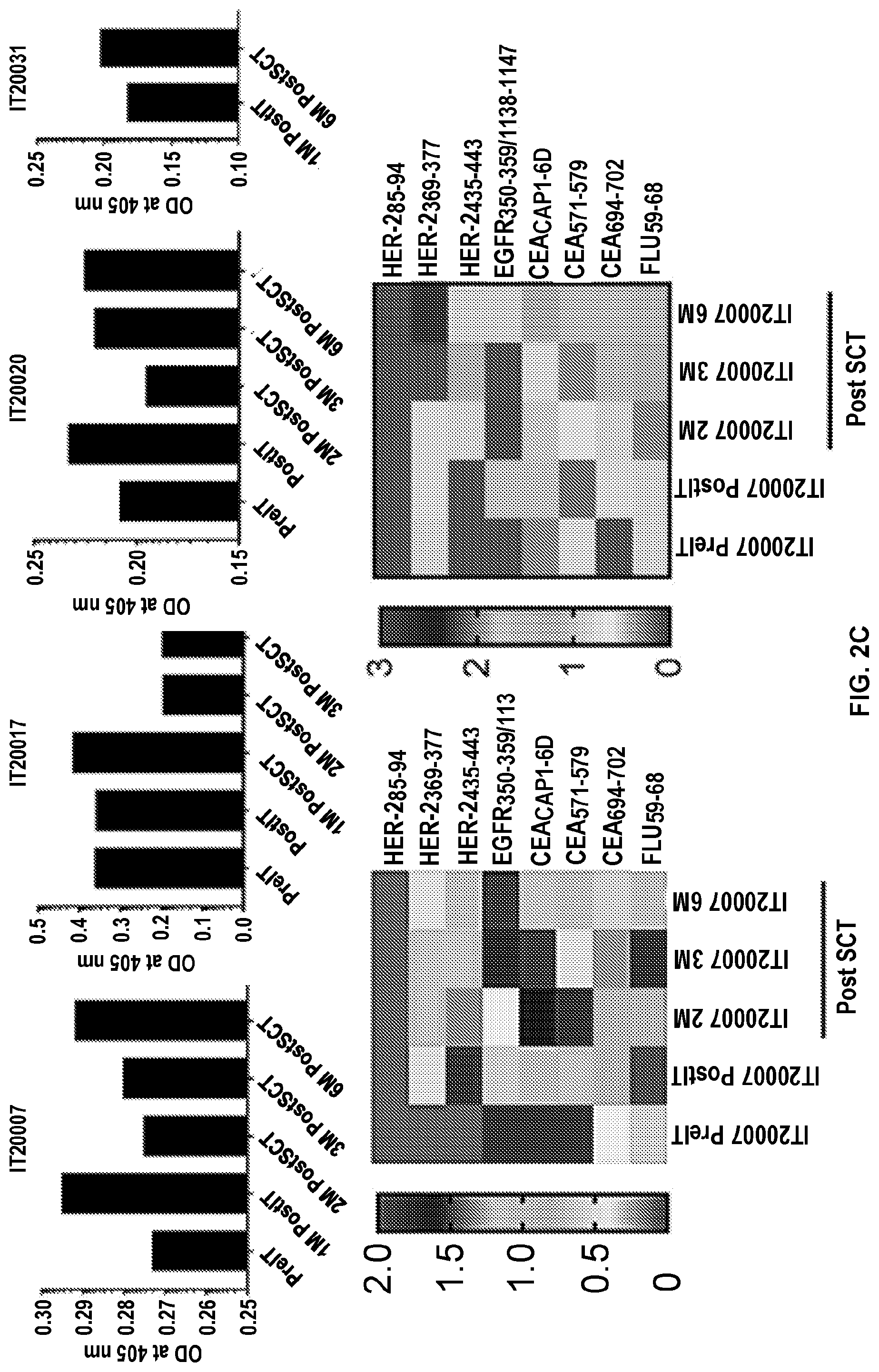 Patent US12324836 Figure 12 – Methods and compositions for vaccinating and boosting cancer patients
