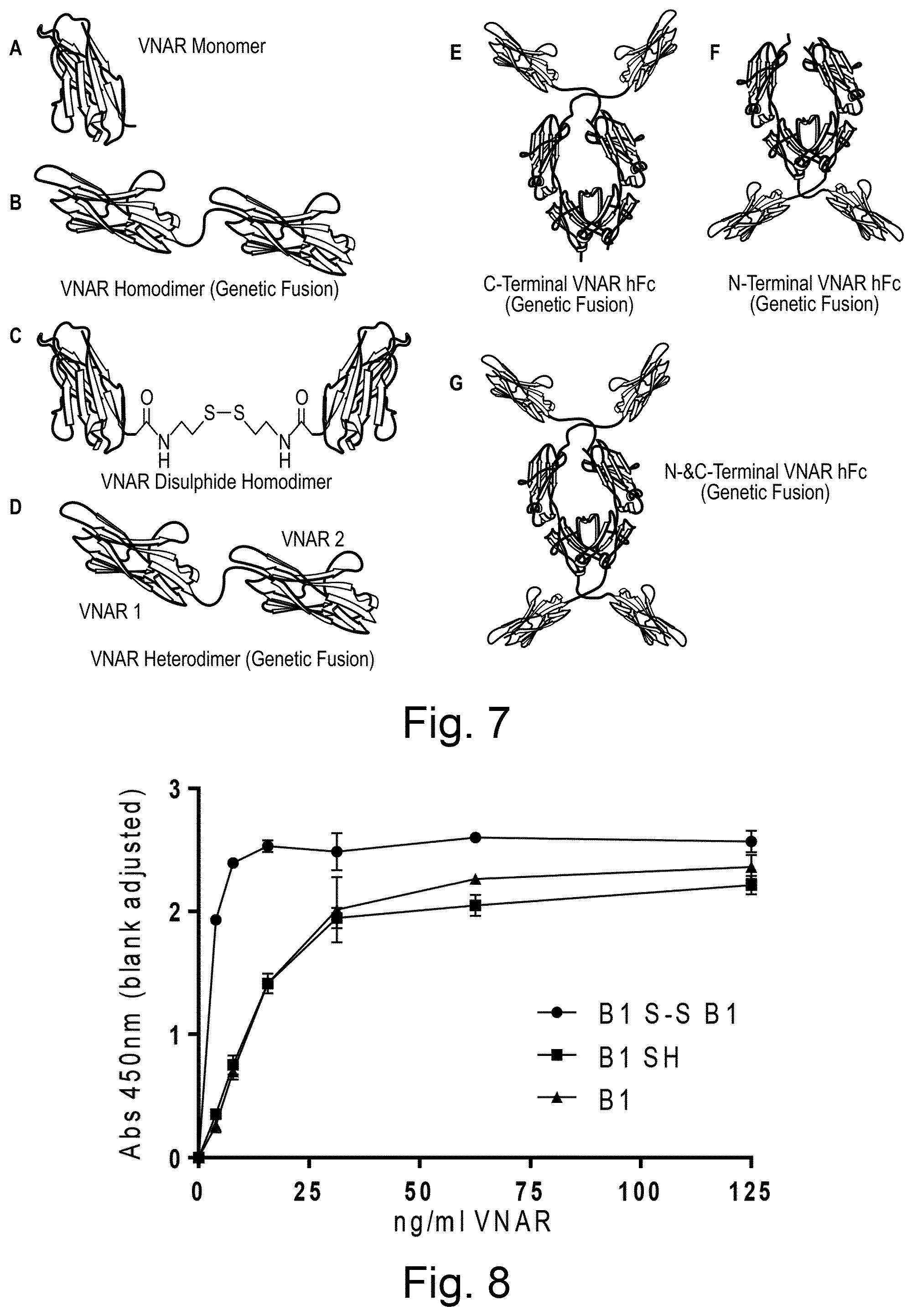 Patent US12324837 Figure 4 – ROR1-specific antigen binding molecules