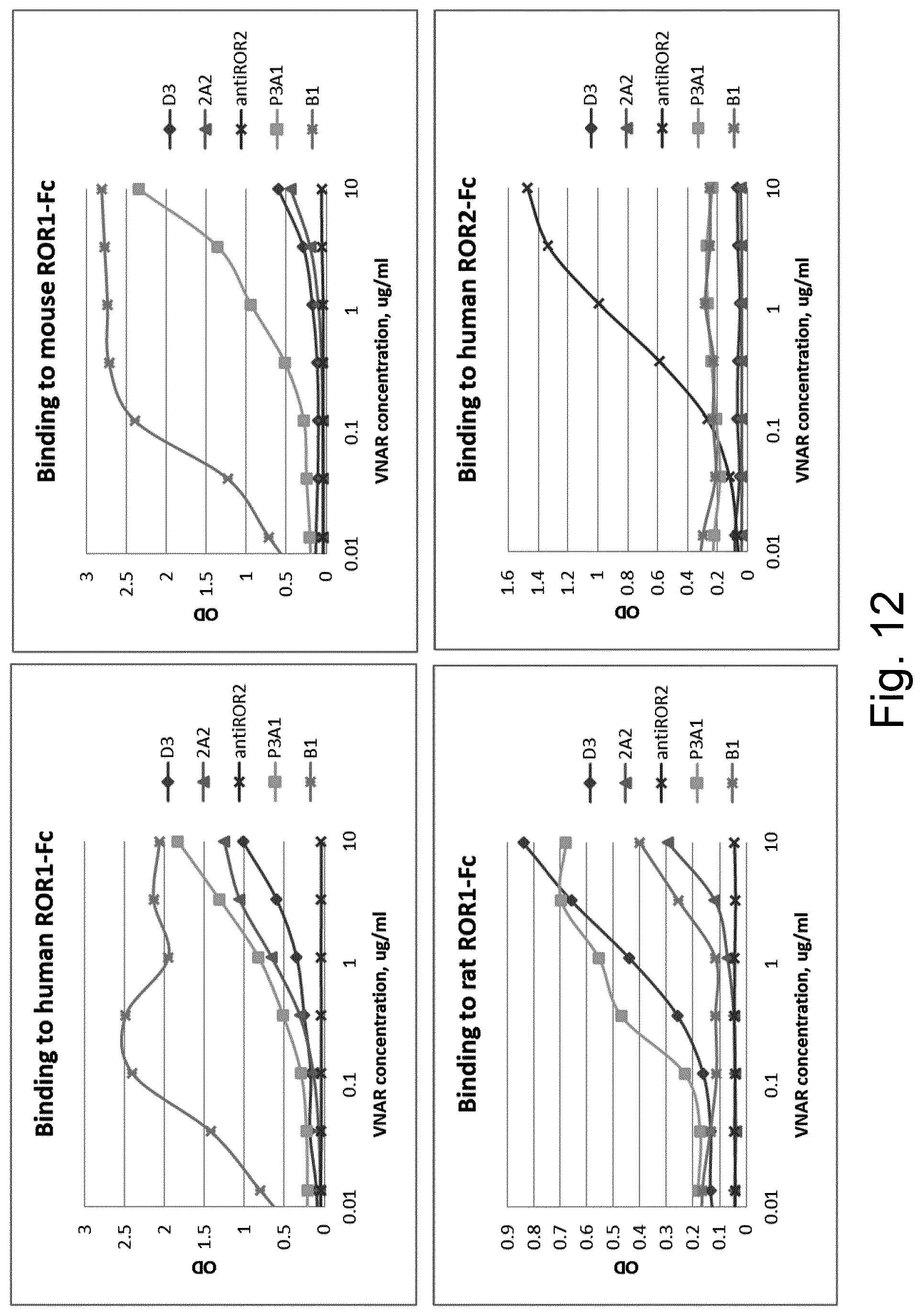 Patent US12324837 Figure 8 – ROR1-specific antigen binding molecules