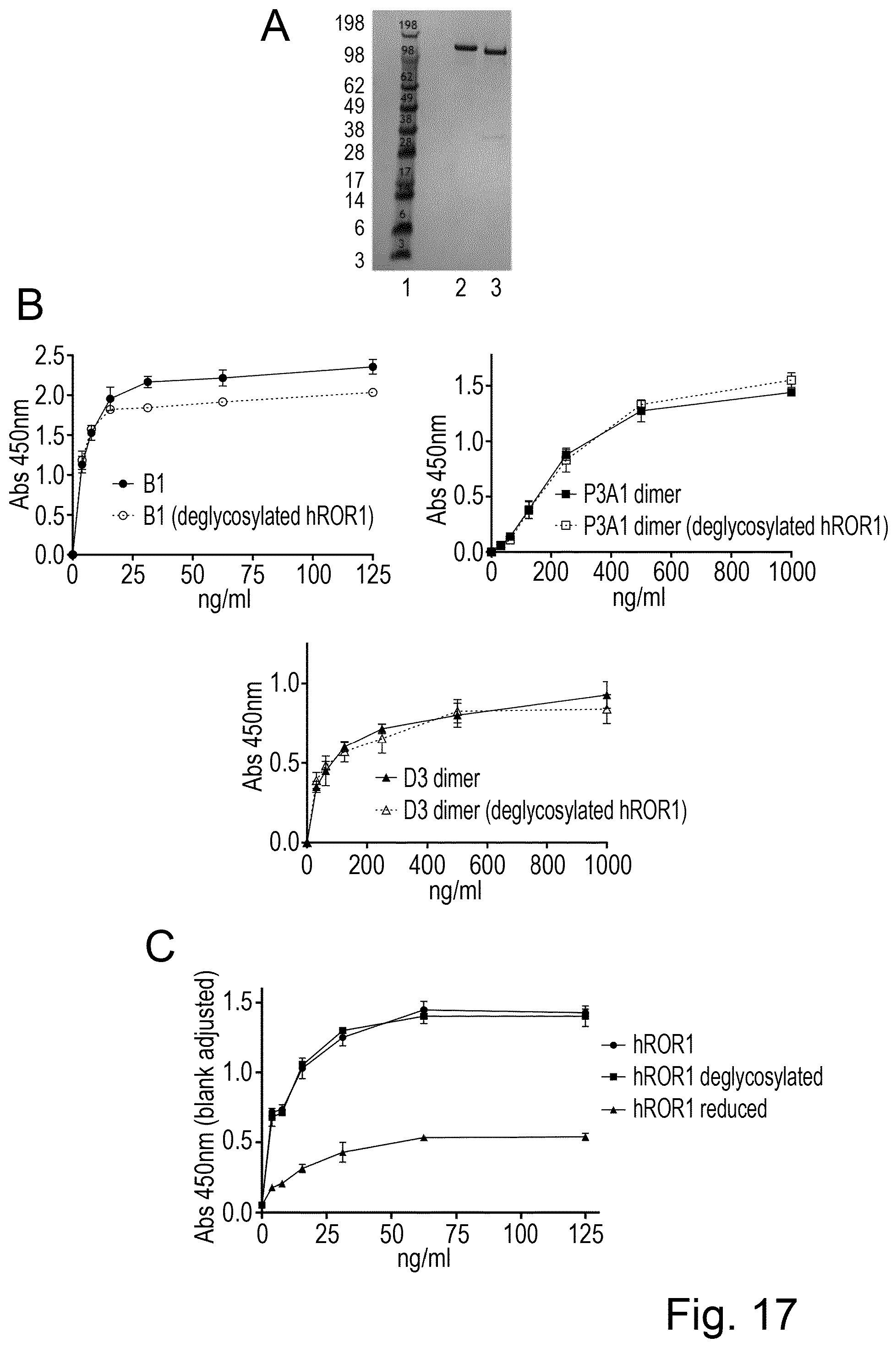 Patent US12324837 Figure 13 – ROR1-specific antigen binding molecules