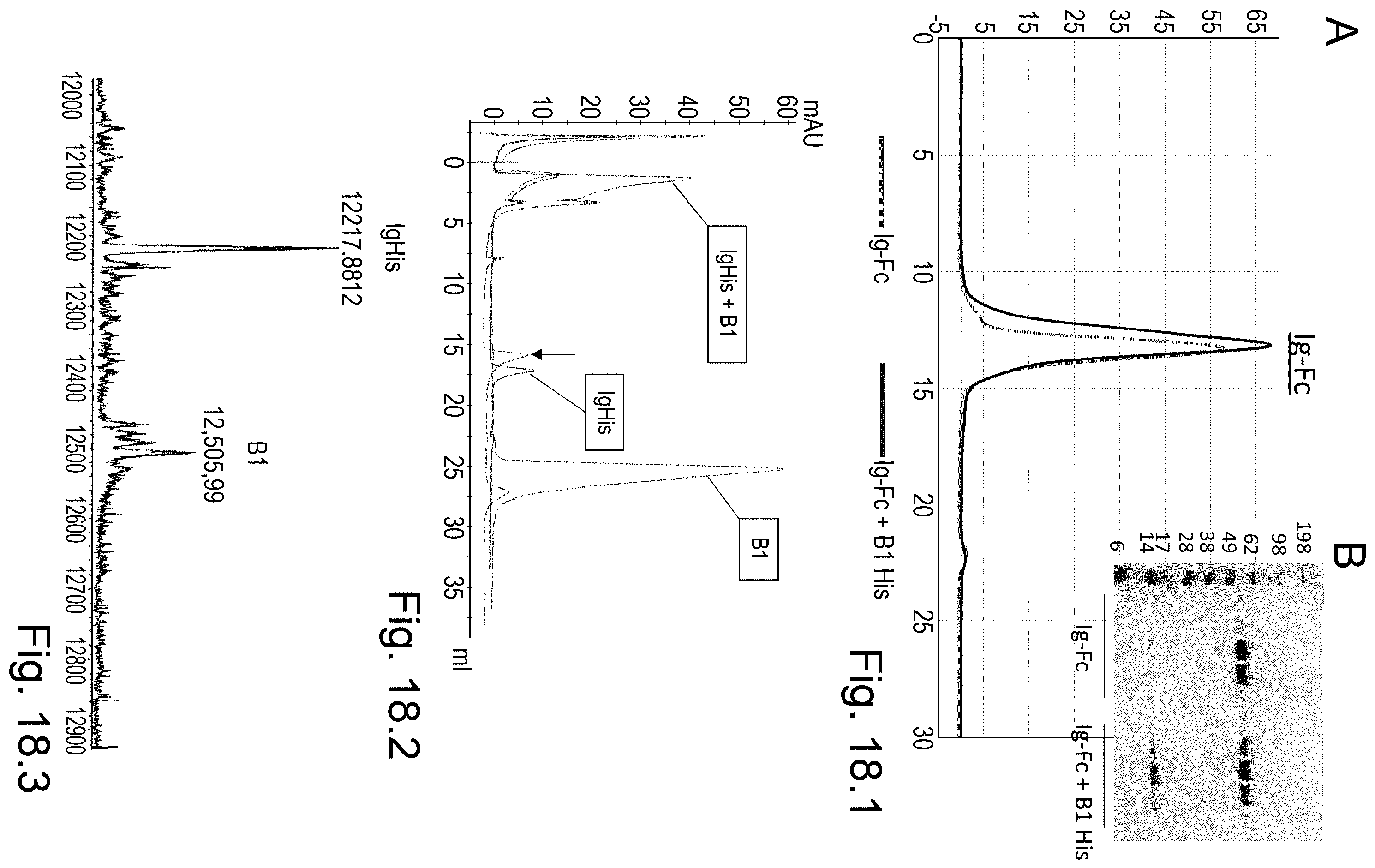 Patent US12324837 Figure 14 – ROR1-specific antigen binding molecules