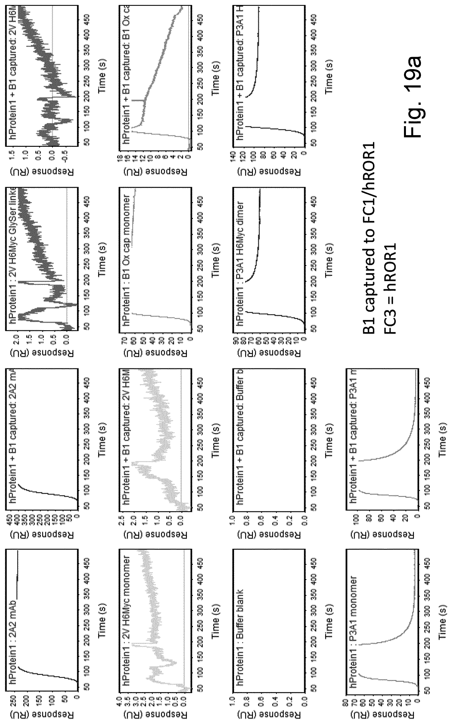 Patent US12324837 Figure 16 – ROR1-specific antigen binding molecules