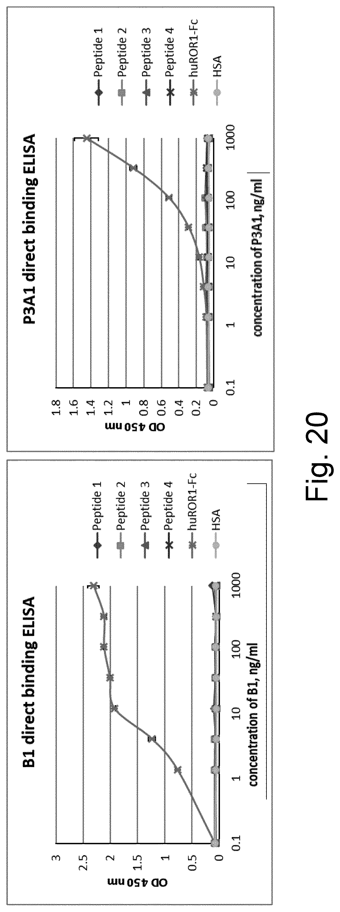 Patent US12324837 Figure 18 – ROR1-specific antigen binding molecules