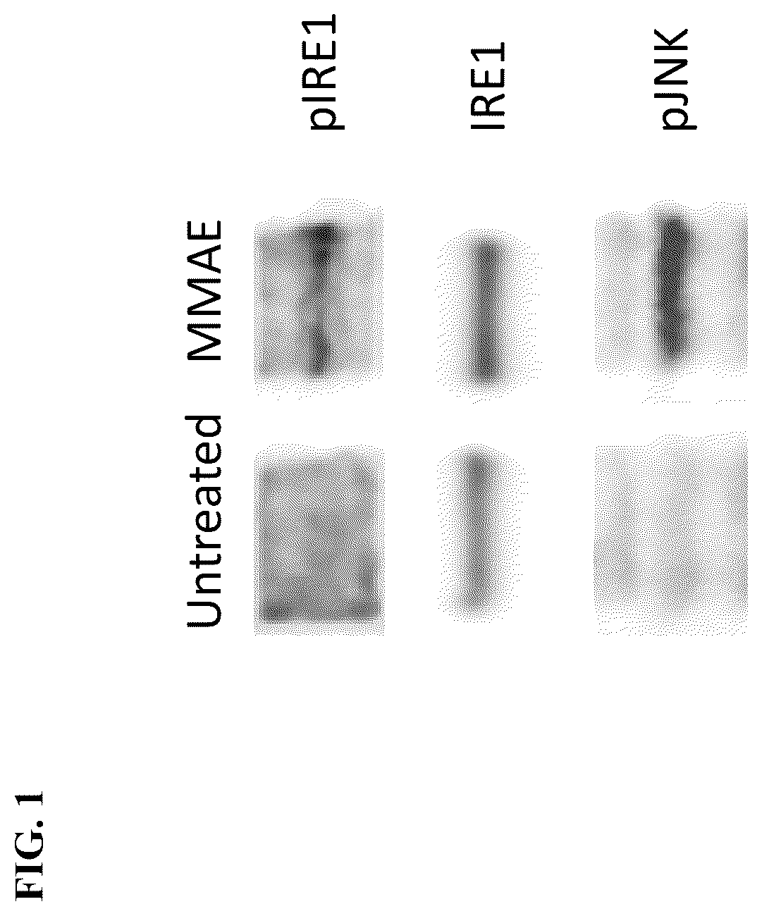 Patent US12324841 Figure 1 – Methods of treating cancer with a combination of an anti-PD-1 antibody and an anti-tissue factor antibody-drug conjugate