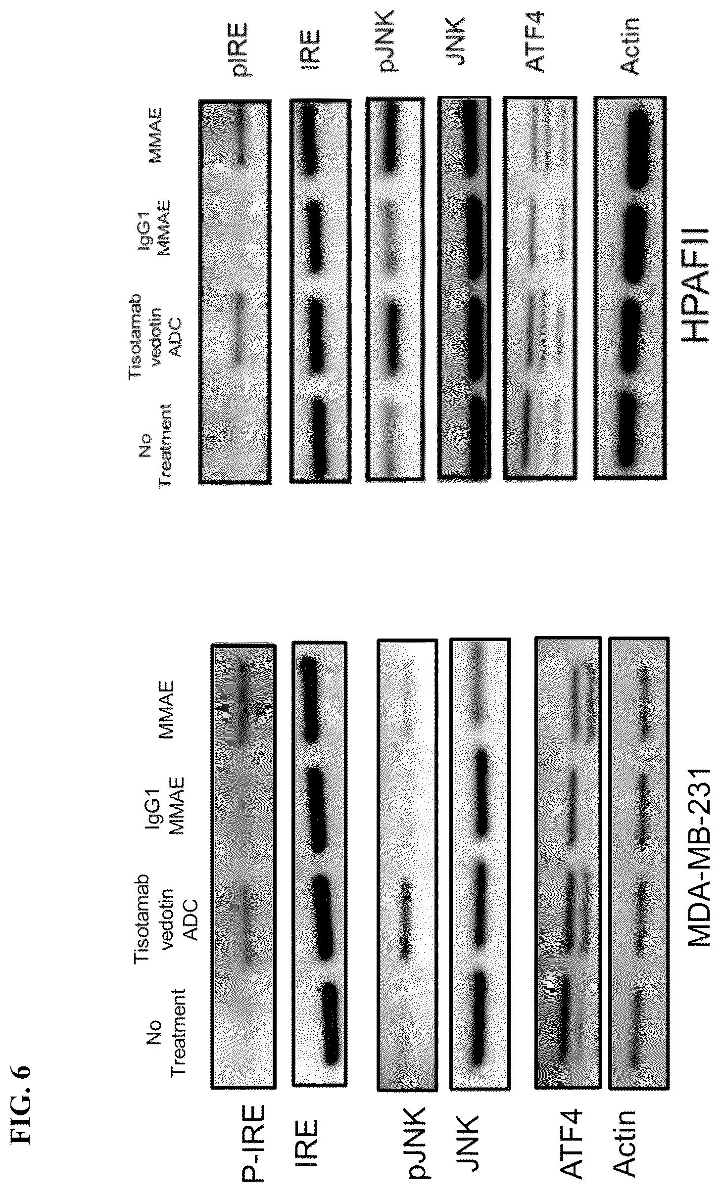 Patent US12324841 Figure 7 – Methods of treating cancer with a combination of an anti-PD-1 antibody and an anti-tissue factor antibody-drug conjugate
