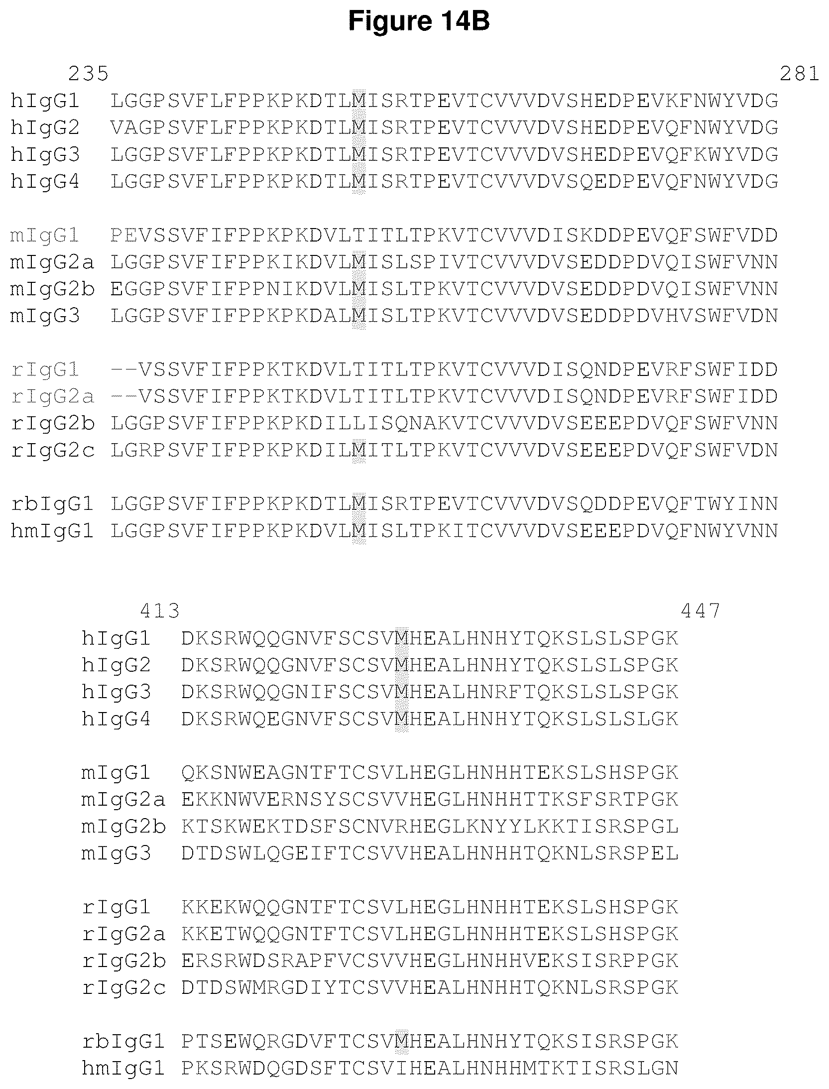 Patent US12324842 Figure 14 – Compositions and methods for making antibody conjugates