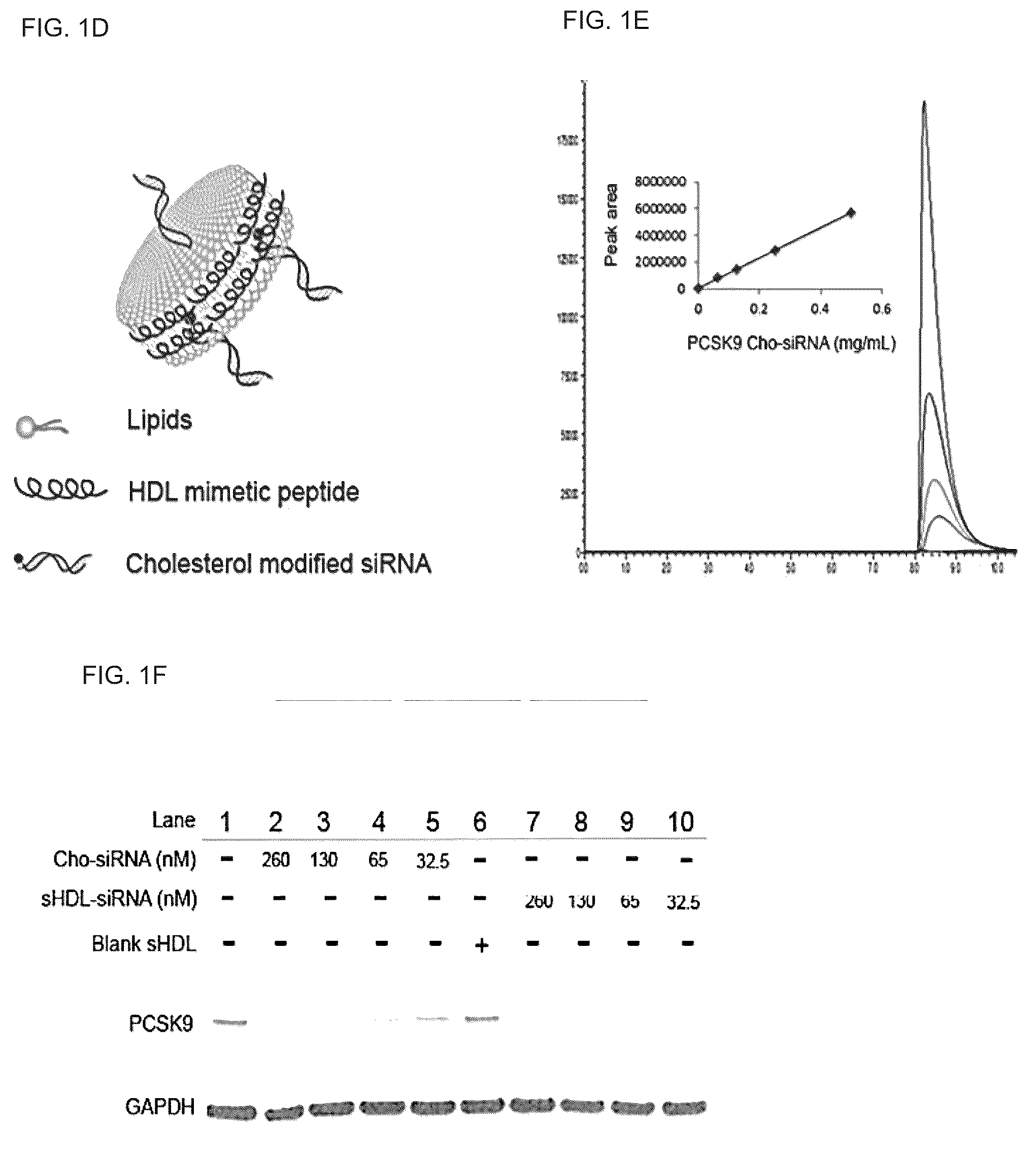 Patent US12324843 Figure 2 – Compositions and methods for delivery of biomacromolecule agents