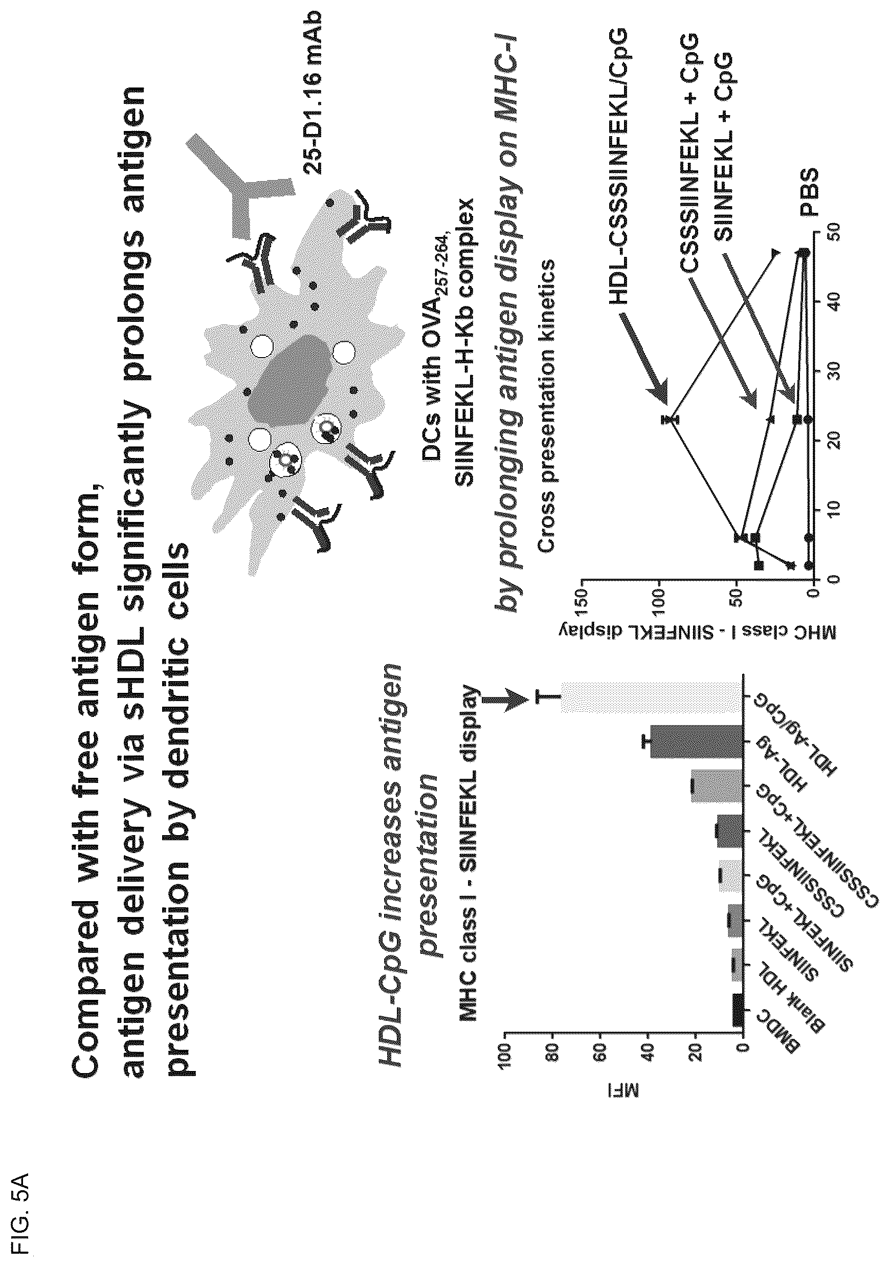 Patent US12324843 Figure 6 – Compositions and methods for delivery of biomacromolecule agents