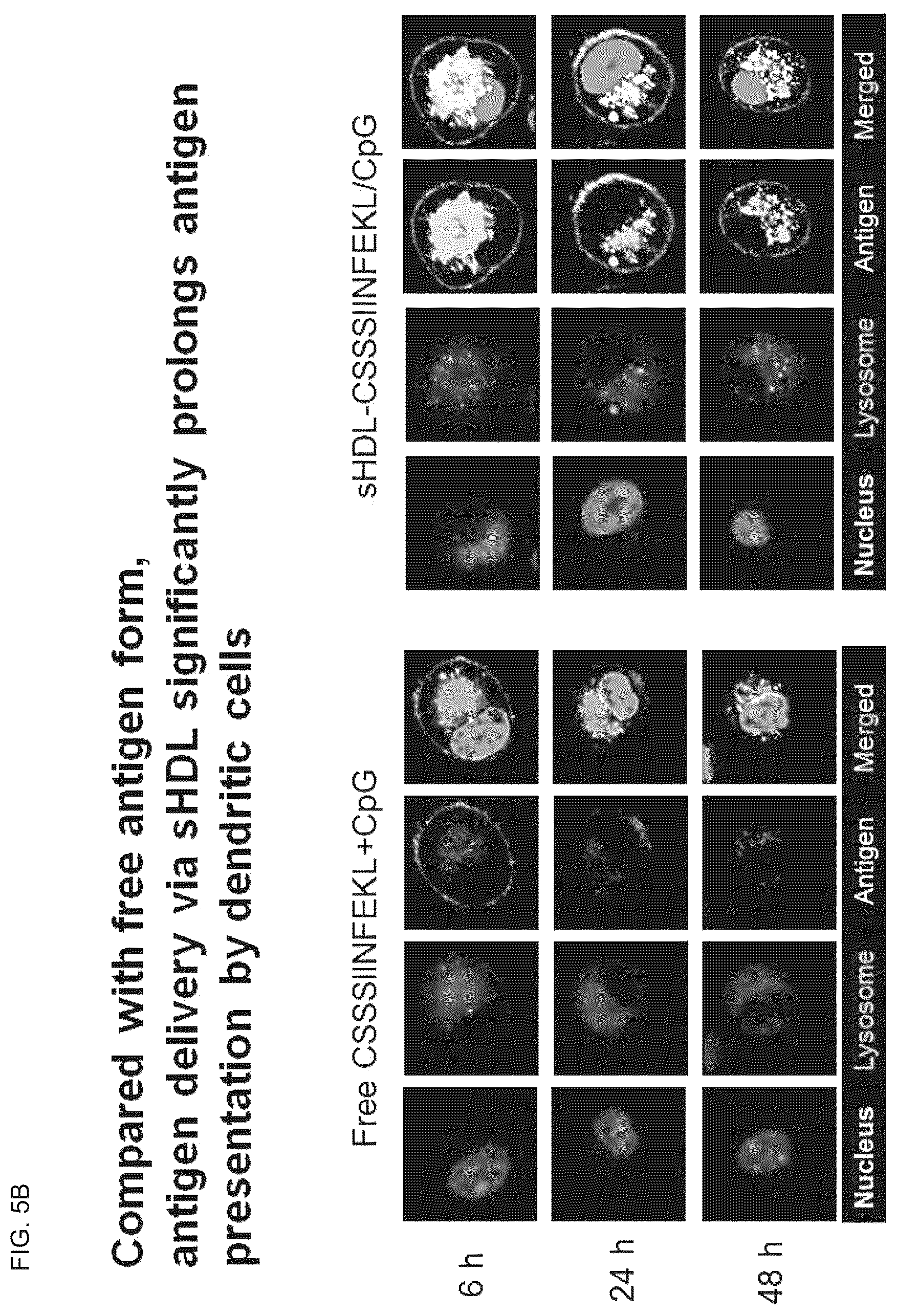 Patent US12324843 Figure 7 – Compositions and methods for delivery of biomacromolecule agents