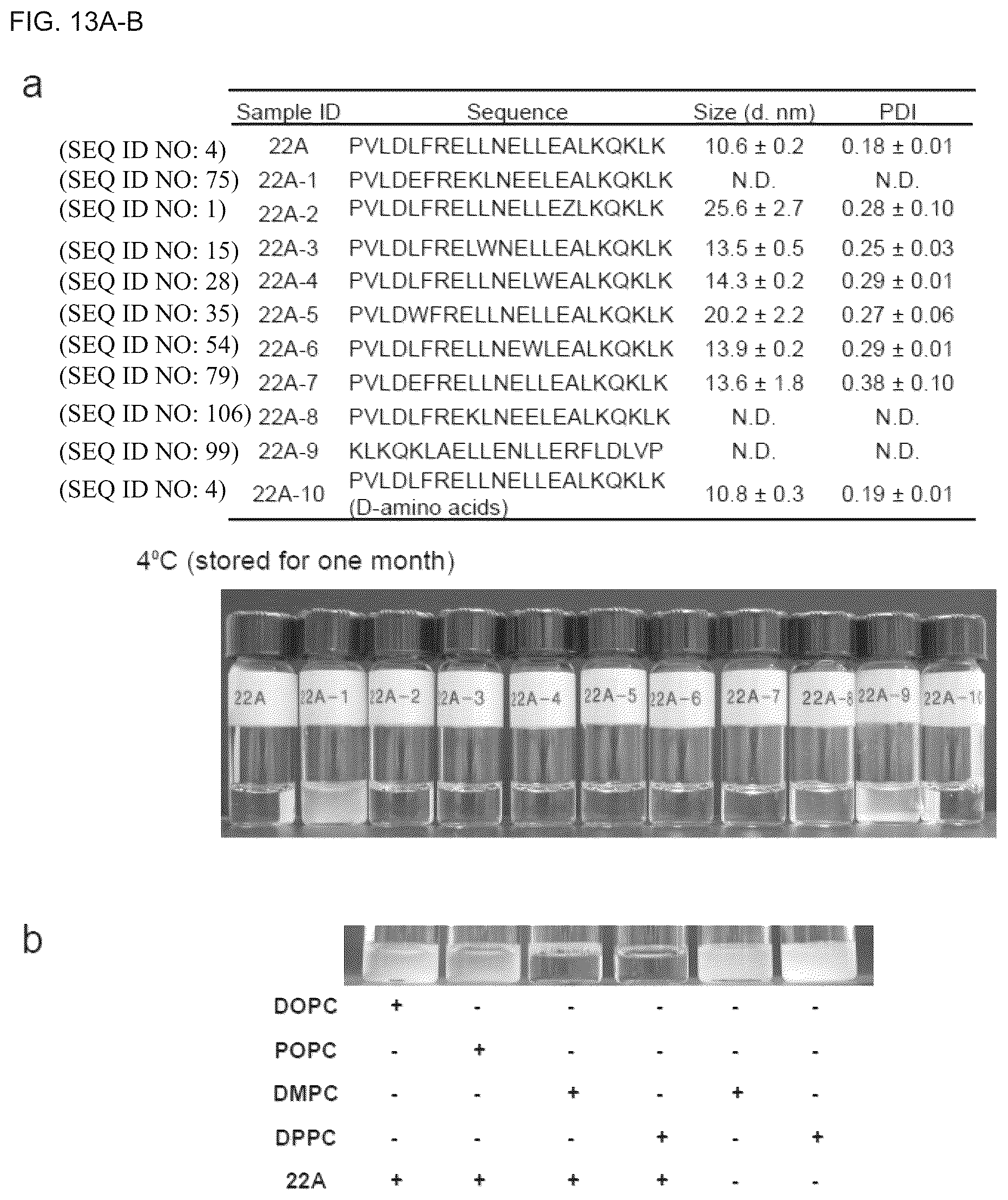 Patent US12324843 Figure 15 – Compositions and methods for delivery of biomacromolecule agents