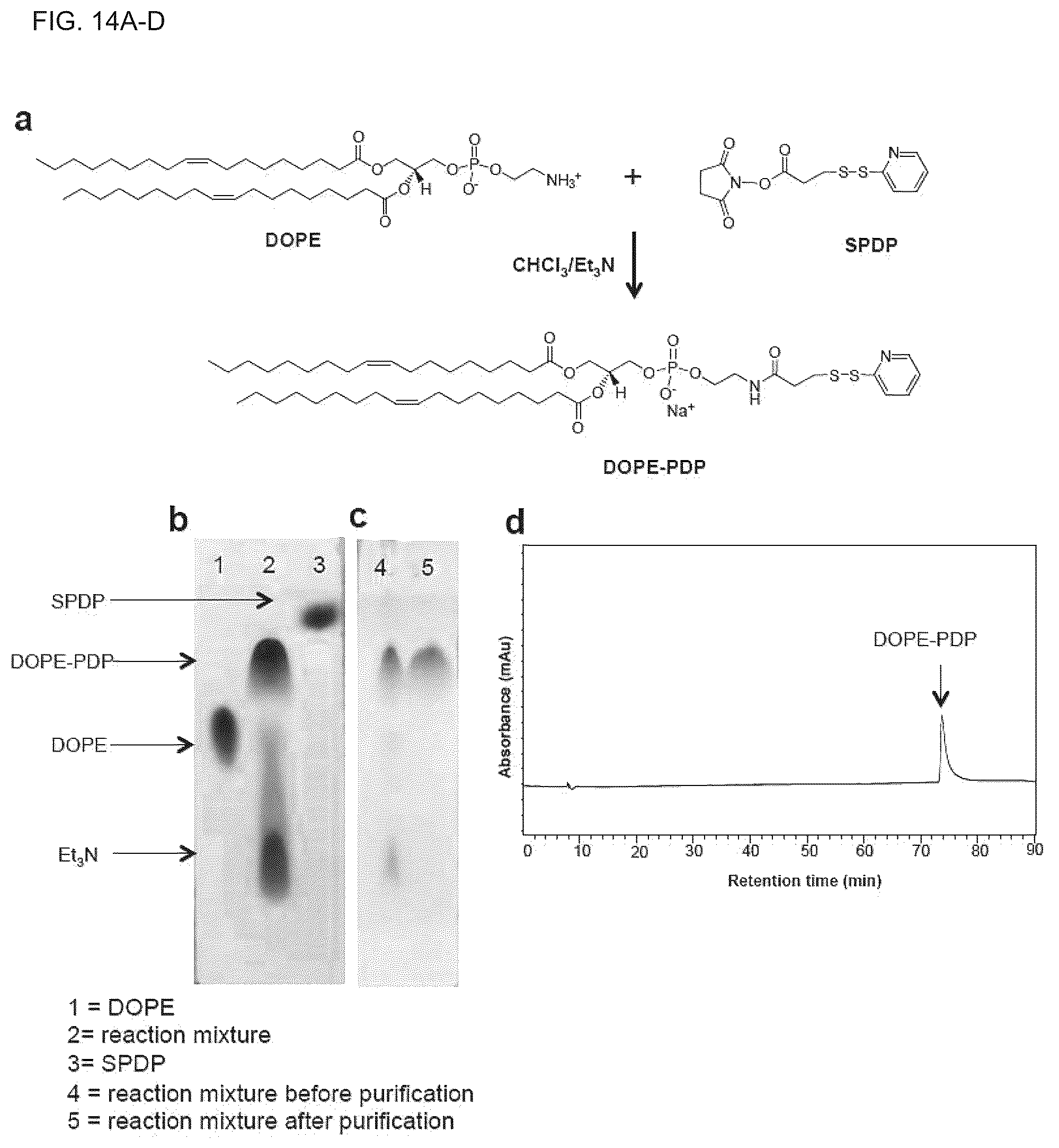 Patent US12324843 Figure 16 – Compositions and methods for delivery of biomacromolecule agents