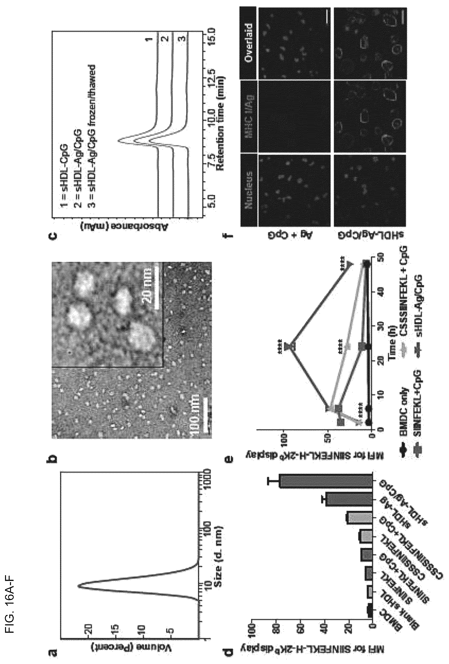 Patent US12324843 Figure 19 – Compositions and methods for delivery of biomacromolecule agents