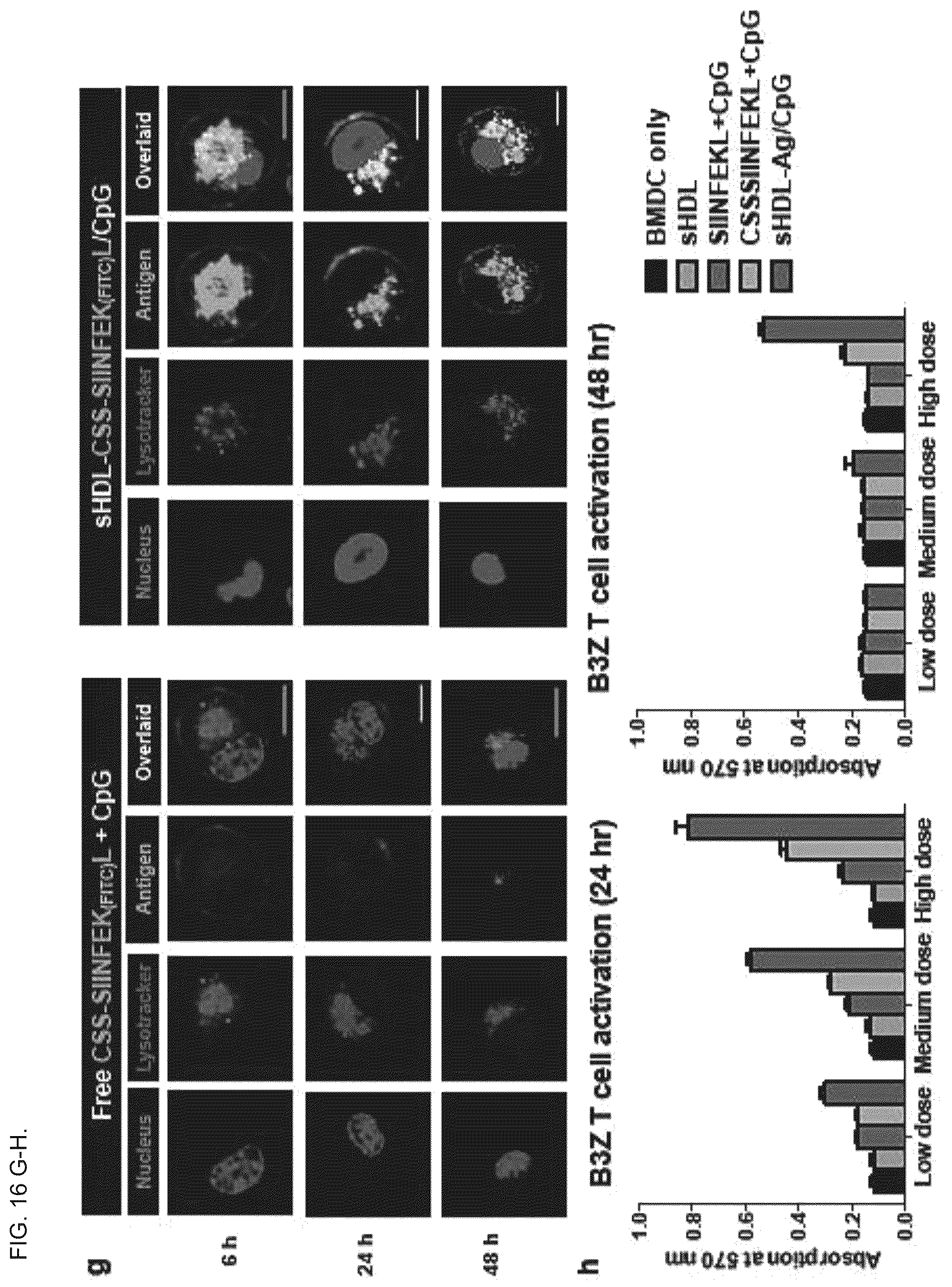 Patent US12324843 Figure 20 – Compositions and methods for delivery of biomacromolecule agents