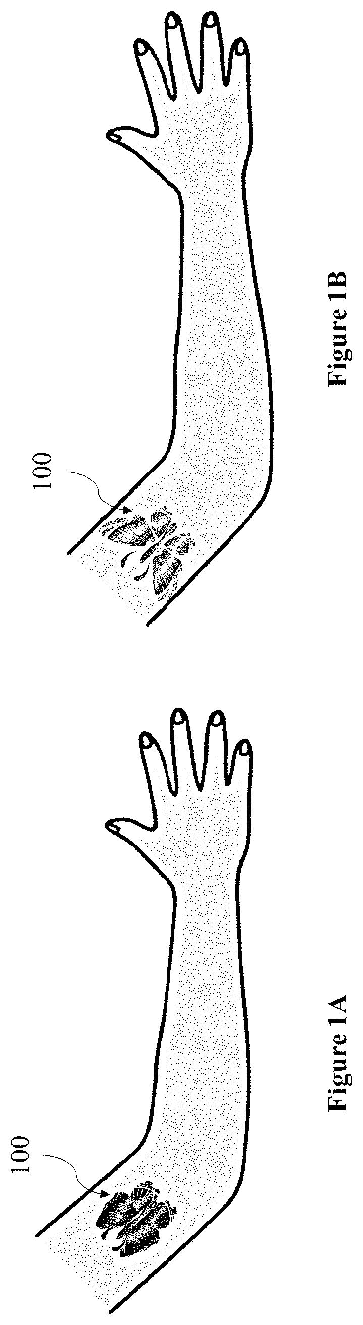 Patent US12324851 Figure 1 – Drawing substrate