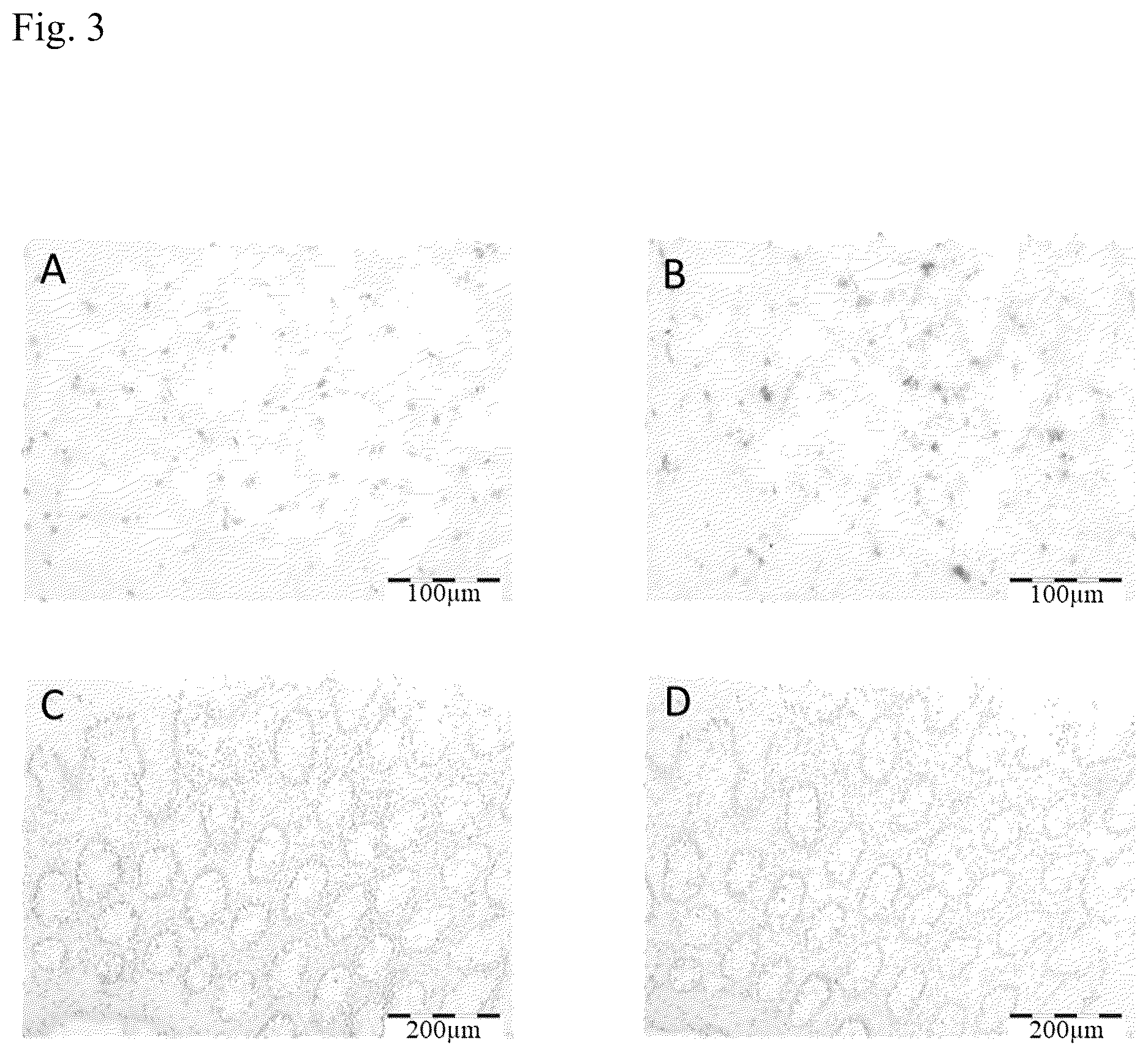 Patent US12324855 Figure 3 – Method of safe administration of phosphorylated Tau peptide vaccine