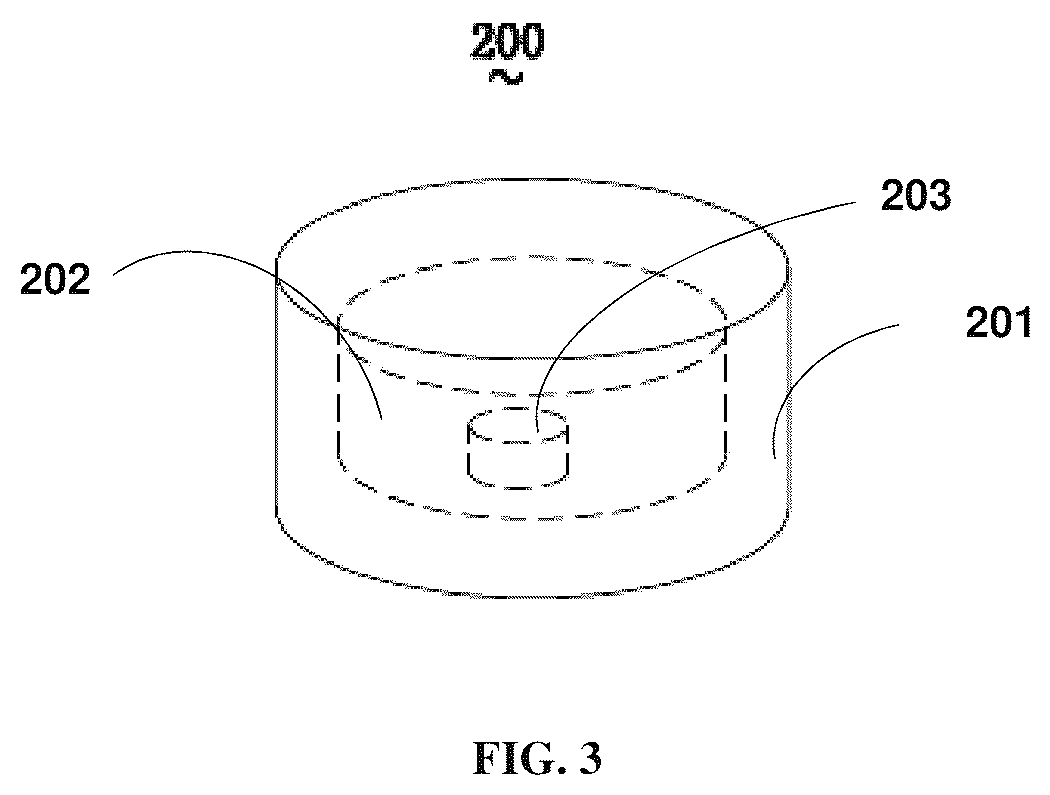 Patent US12324856 Figure 3 – Oral drug dosage form comprising drug in the form of nanoparticles