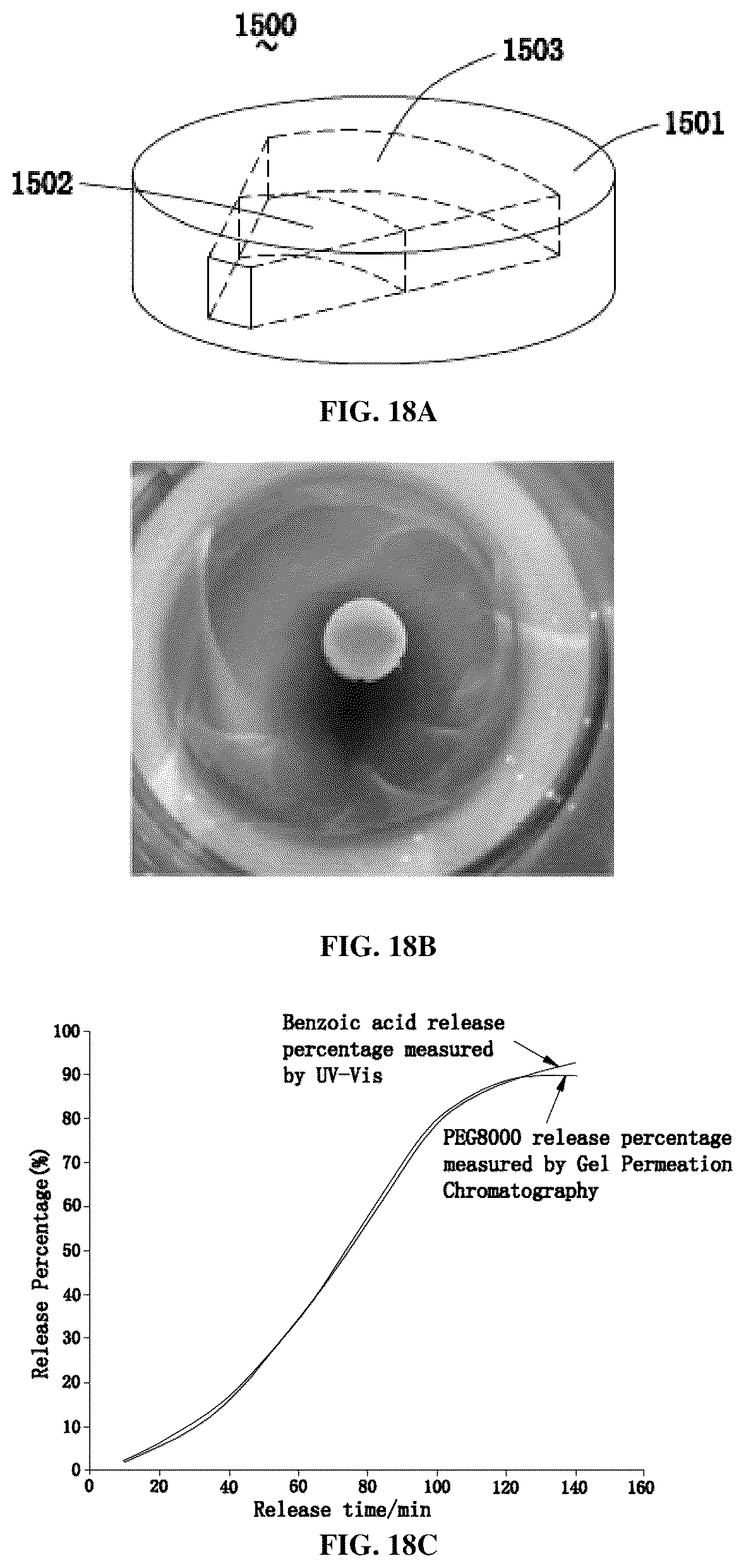 Patent US12324856 Figure 18 – Oral drug dosage form comprising drug in the form of nanoparticles