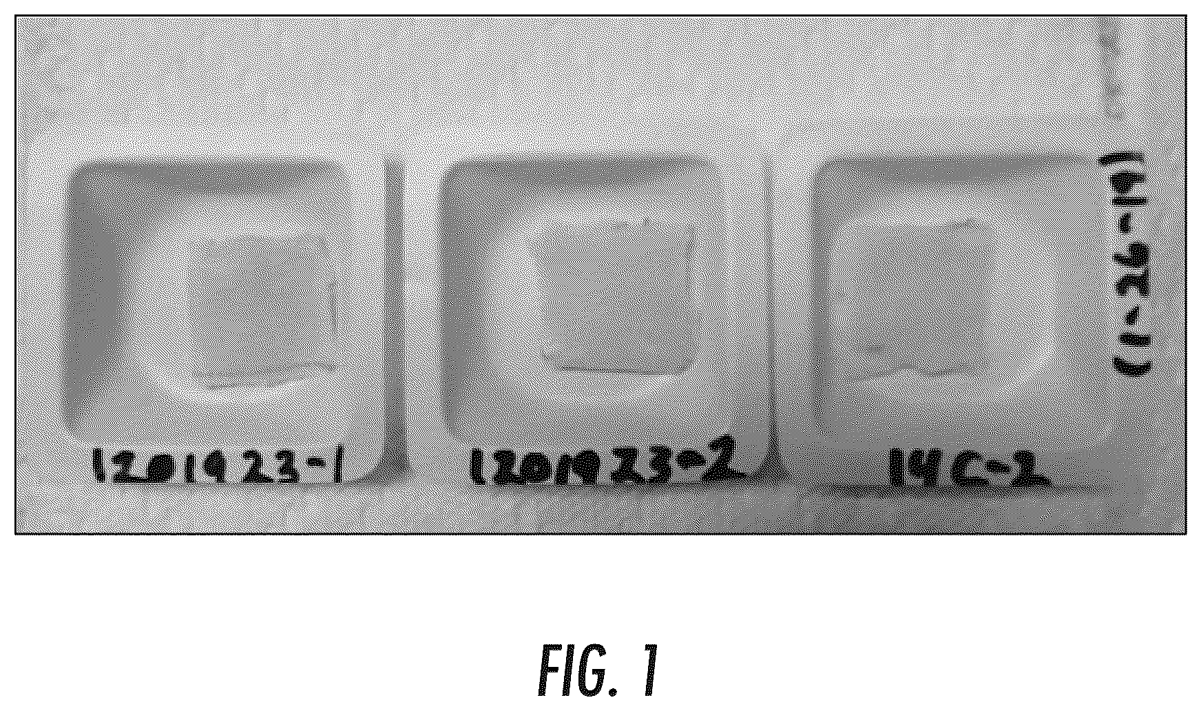 Patent US12324858 Figure 1 – Pharmaceutical formulation and system and method for delivery
