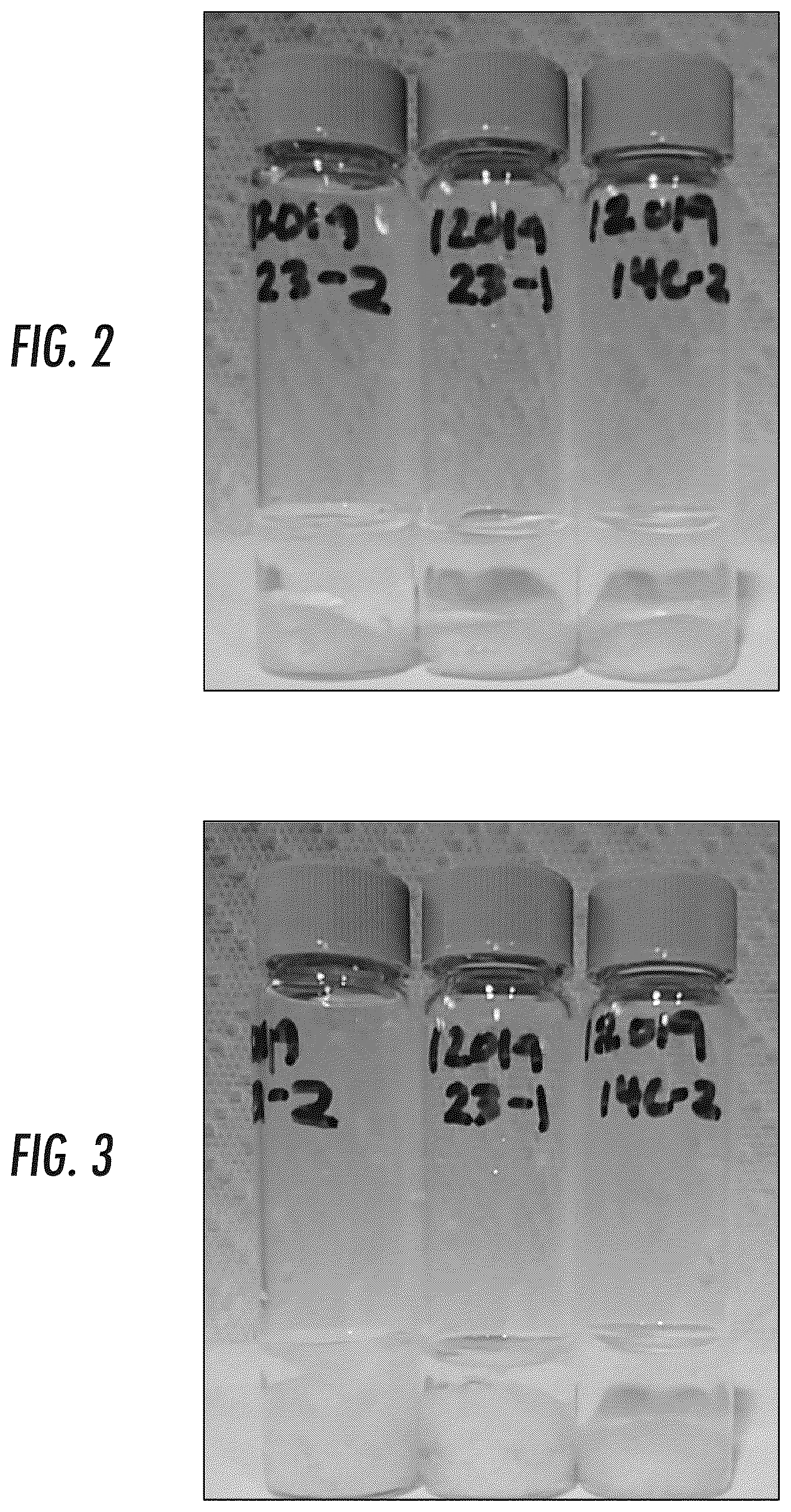 Patent US12324858 Figure 2 – Pharmaceutical formulation and system and method for delivery