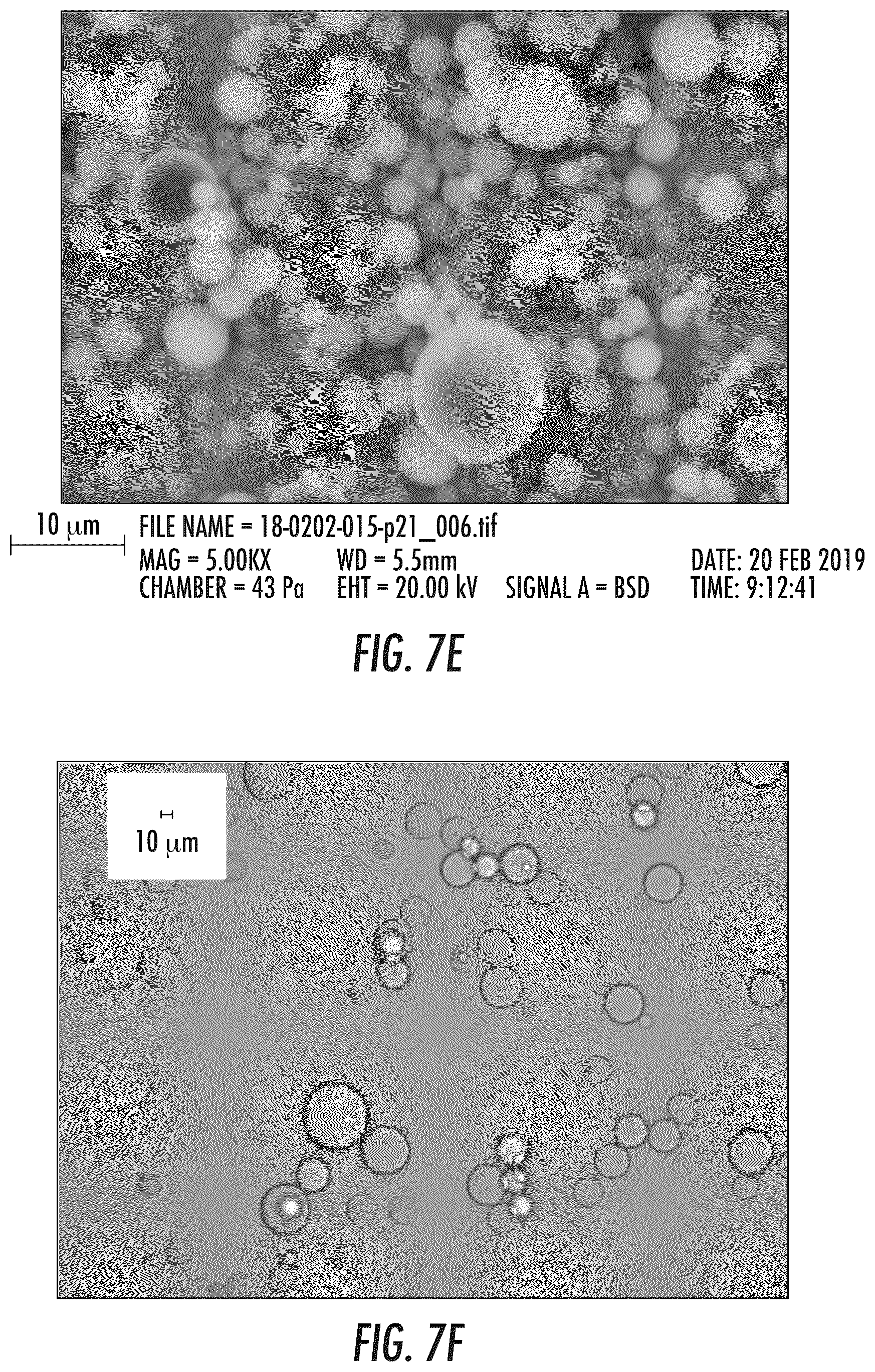 Patent US12324858 Figure 6 – Pharmaceutical formulation and system and method for delivery