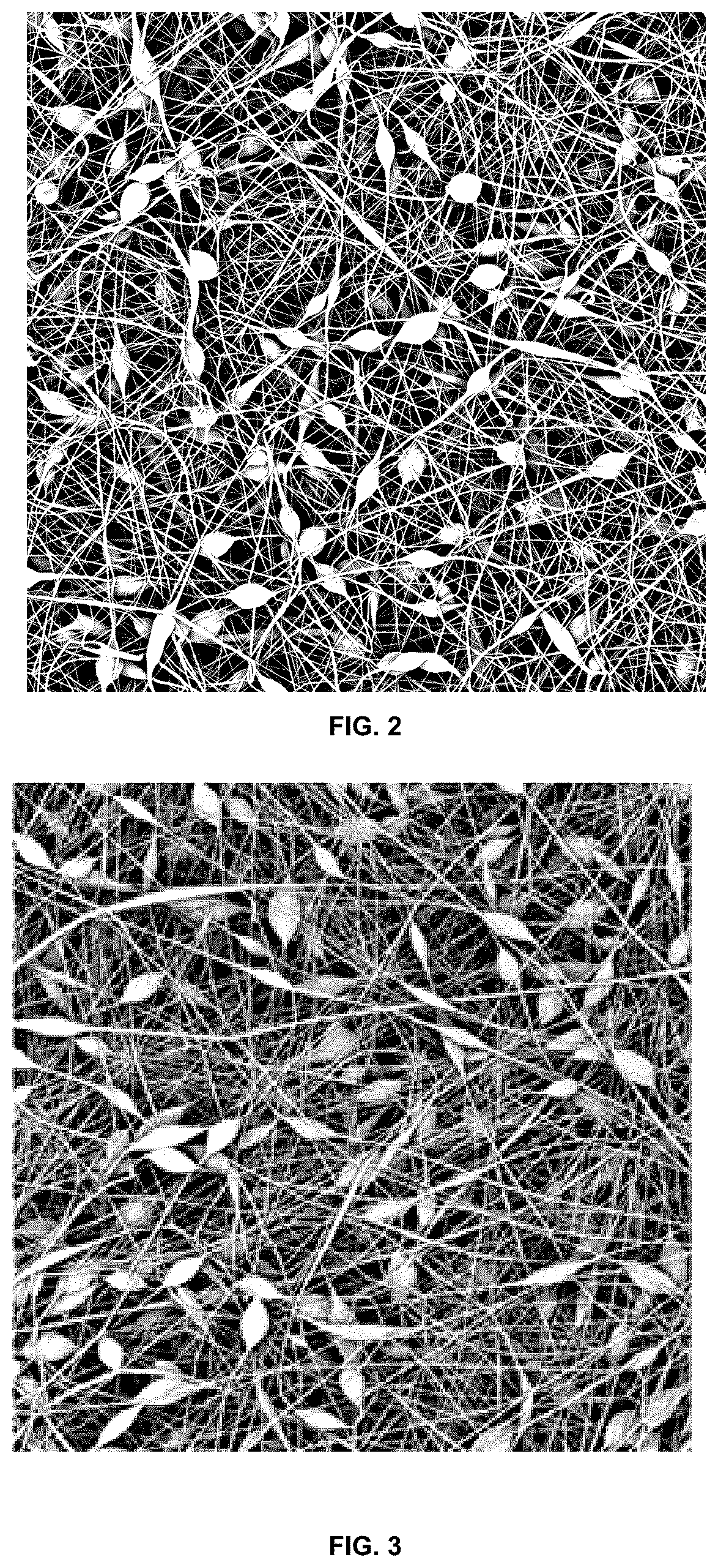 Patent US12324861 Figure 3 – Beaded nonwoven membrane as a drug delivery system