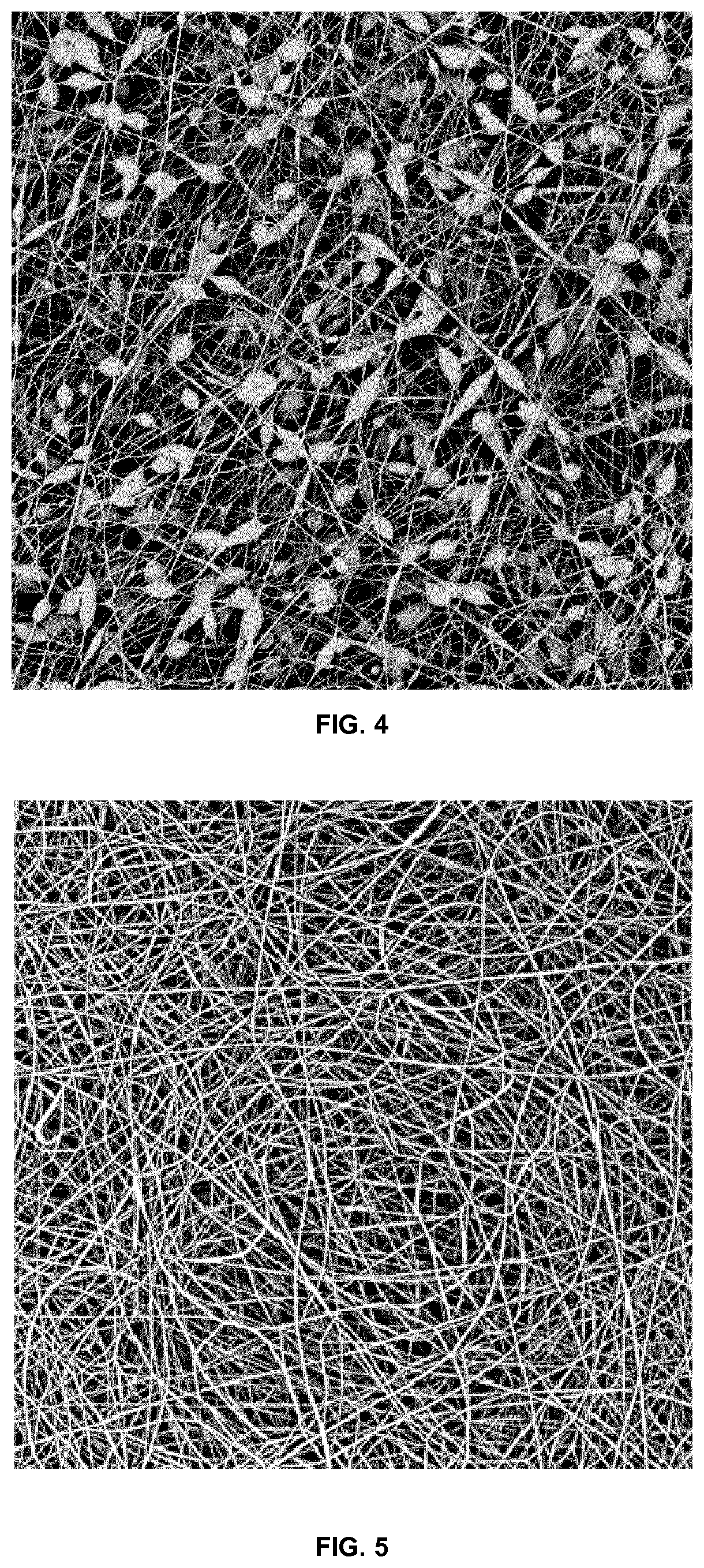 Patent US12324861 Figure 4 – Beaded nonwoven membrane as a drug delivery system