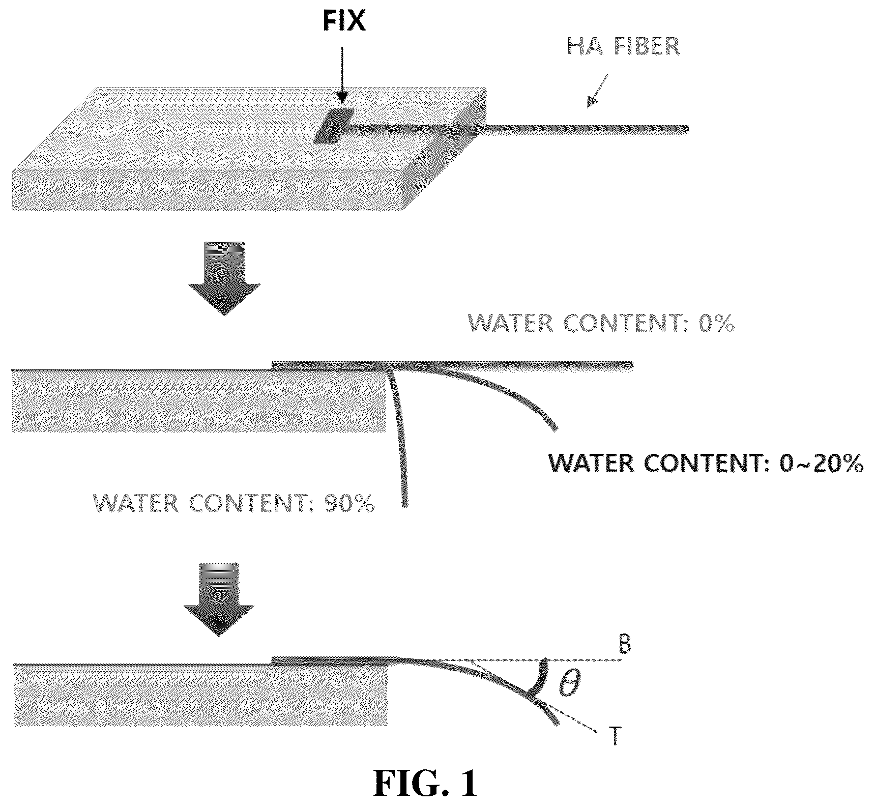 Patent US12324867 Figure 1 – Hyaluronate fiber and manufacturing method thereof