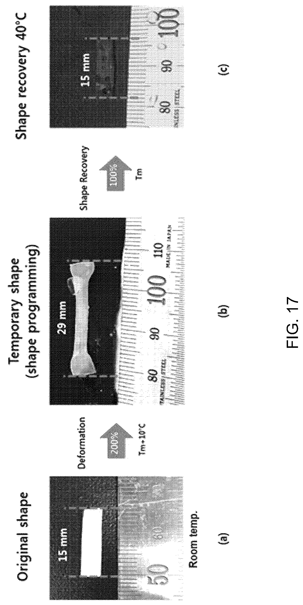 Patent US12324870 Figure 17 – Nasolacrimal duct insertion member comprising shape memory polymer
