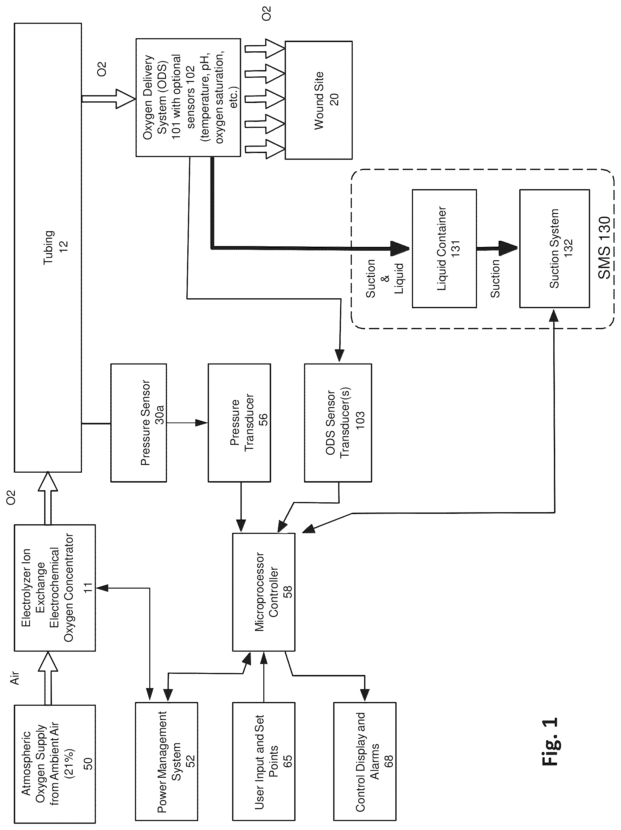 Patent US12324892 Figure 1 – Wound oxygen treatment system