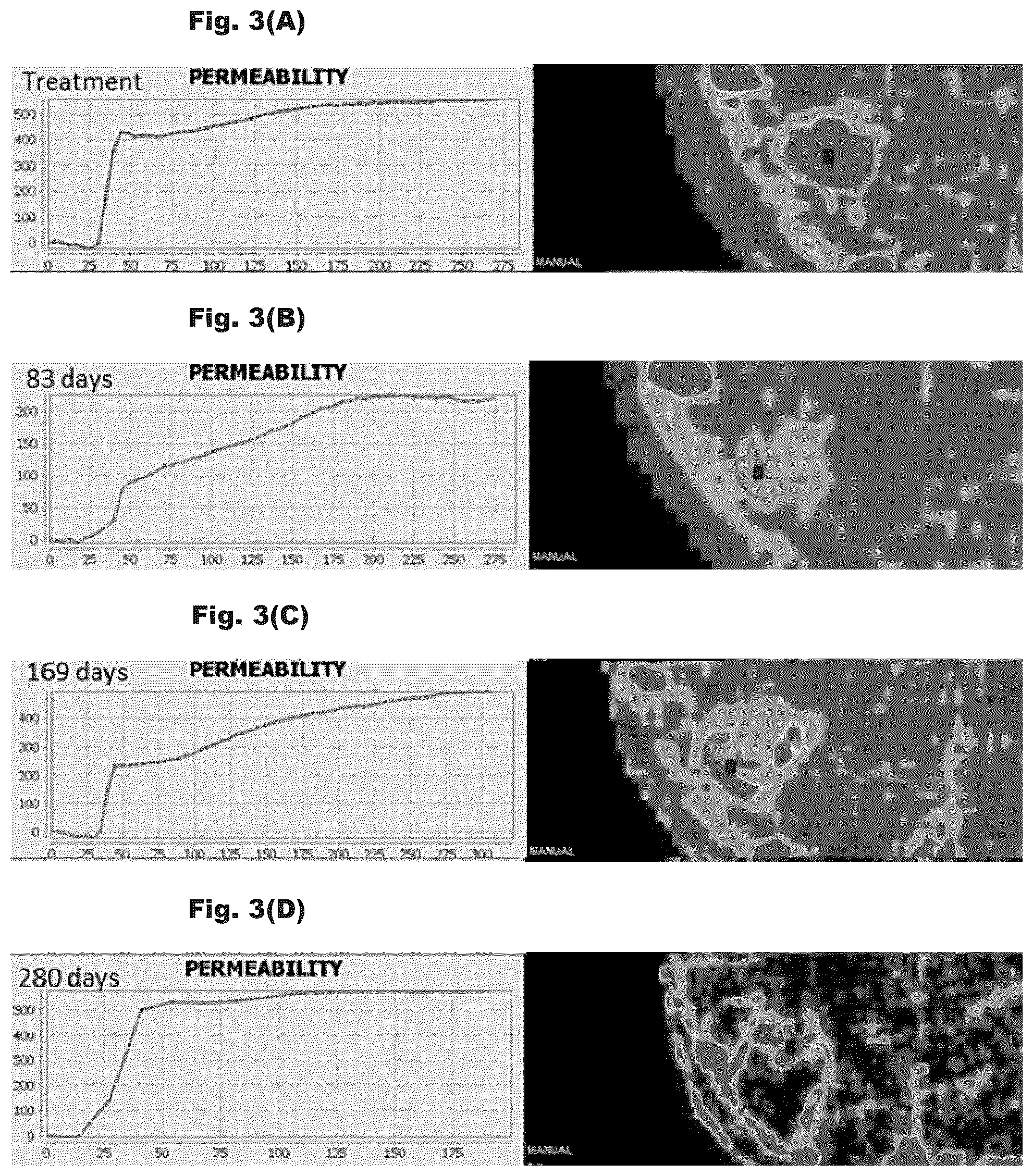Patent US12324931 Figure 3 – Method to select radiation dosage for tumor treatment based on cellular imaging