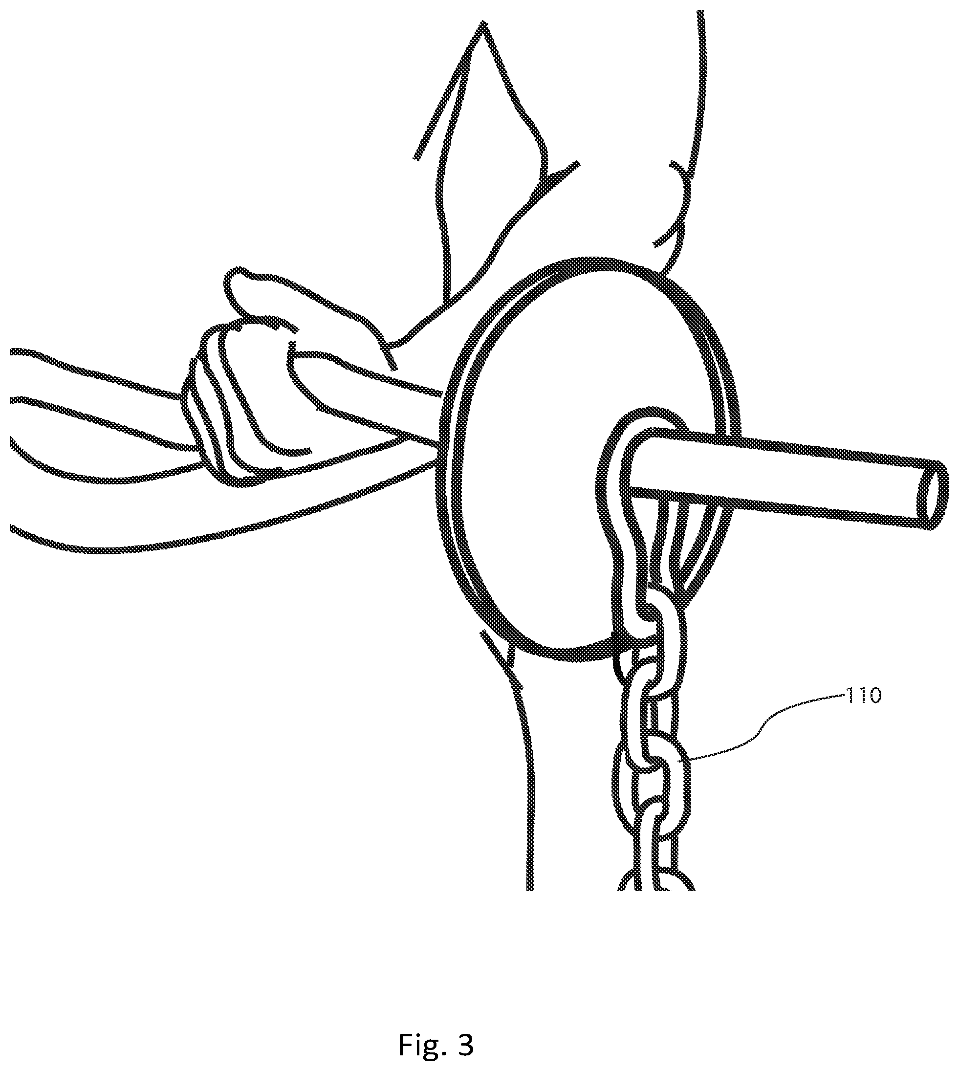 Patent US12324943 Figure 3 – Weight training chain apparatus and method of use