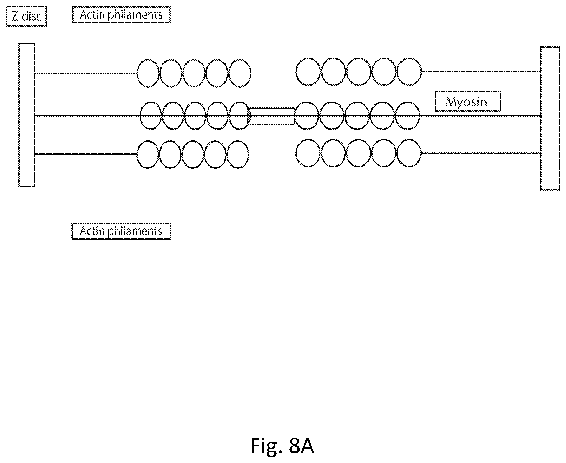 Patent US12324943 Figure 14 – Weight training chain apparatus and method of use